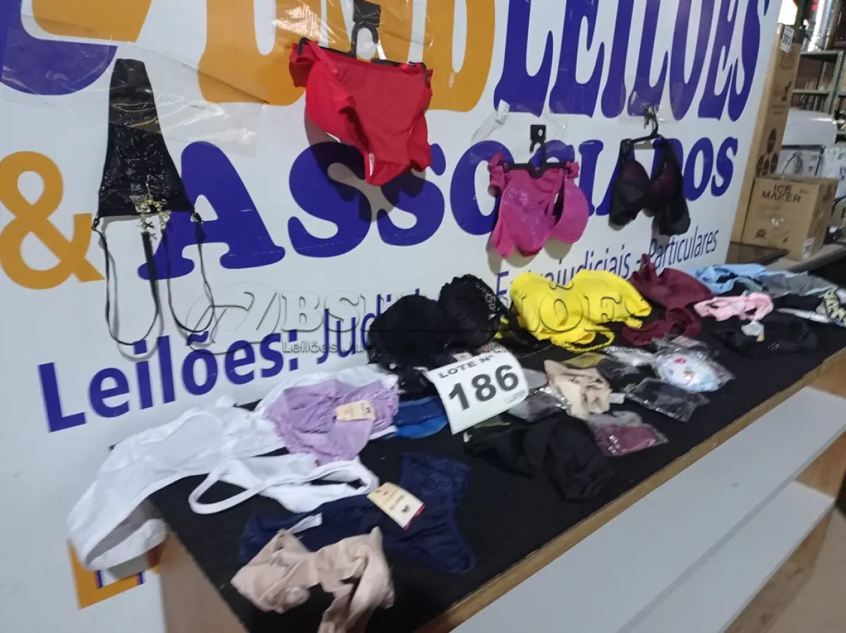 LOTE 186 - 80 – PEÇAS INTIMAS FEMININAS (APROXIMADAMENTE)(NO ESTADO, NÃO SABEMOS SE FUNCIONA. LEILÃO NÃO TEM GARANTIA E NEM DEVOLUÇÃO, SUJEITO A POSSÍVEIS AVARIAS VISÍVEIS/OCULTAS E/OU AUSÊNCIA DE COMPONENTES)