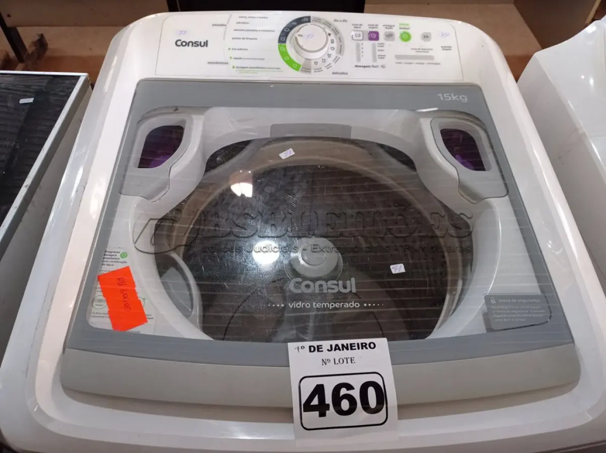 LOTE 460