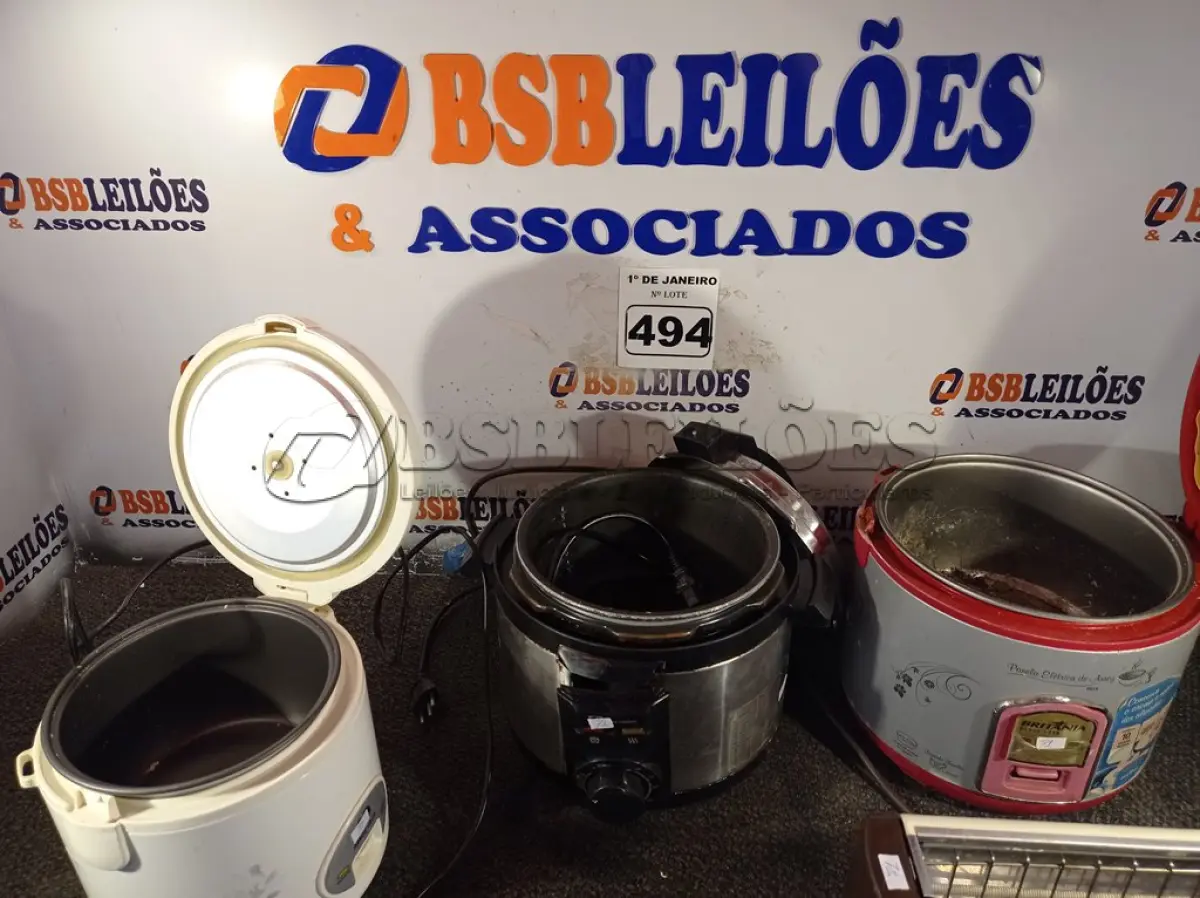 LOTE 494