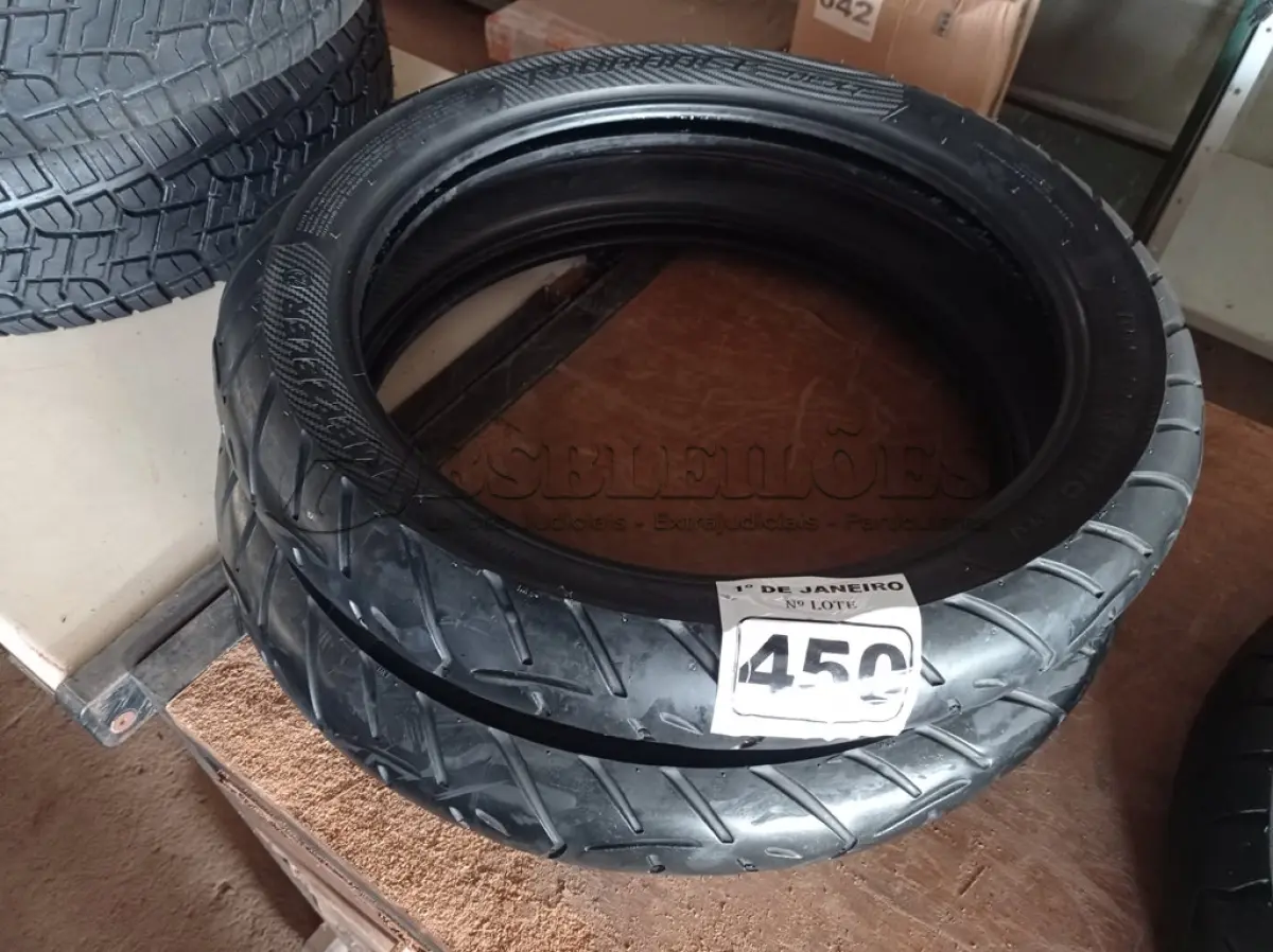 LOTE 450