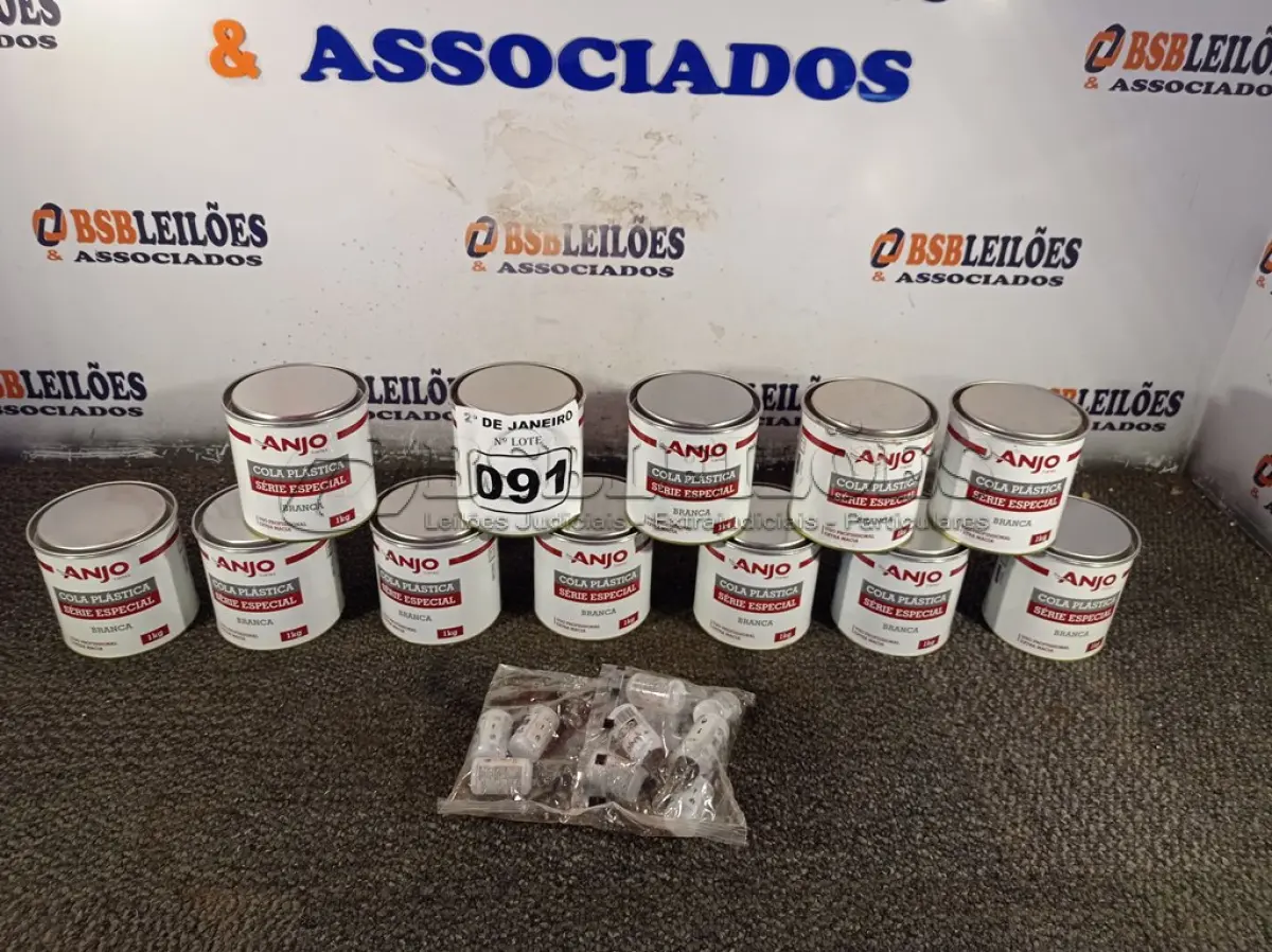 LOTE 091