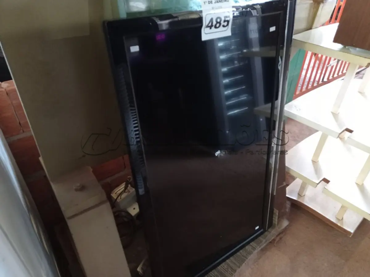 LOTE 485