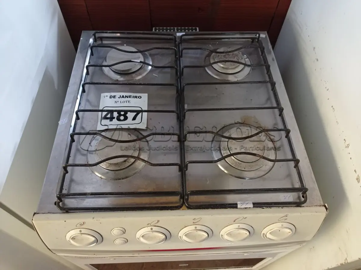 LOTE 487