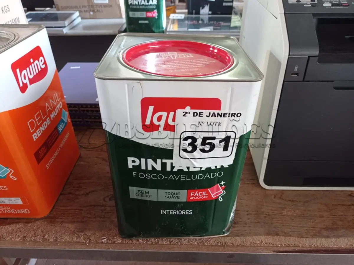 LOTE 351