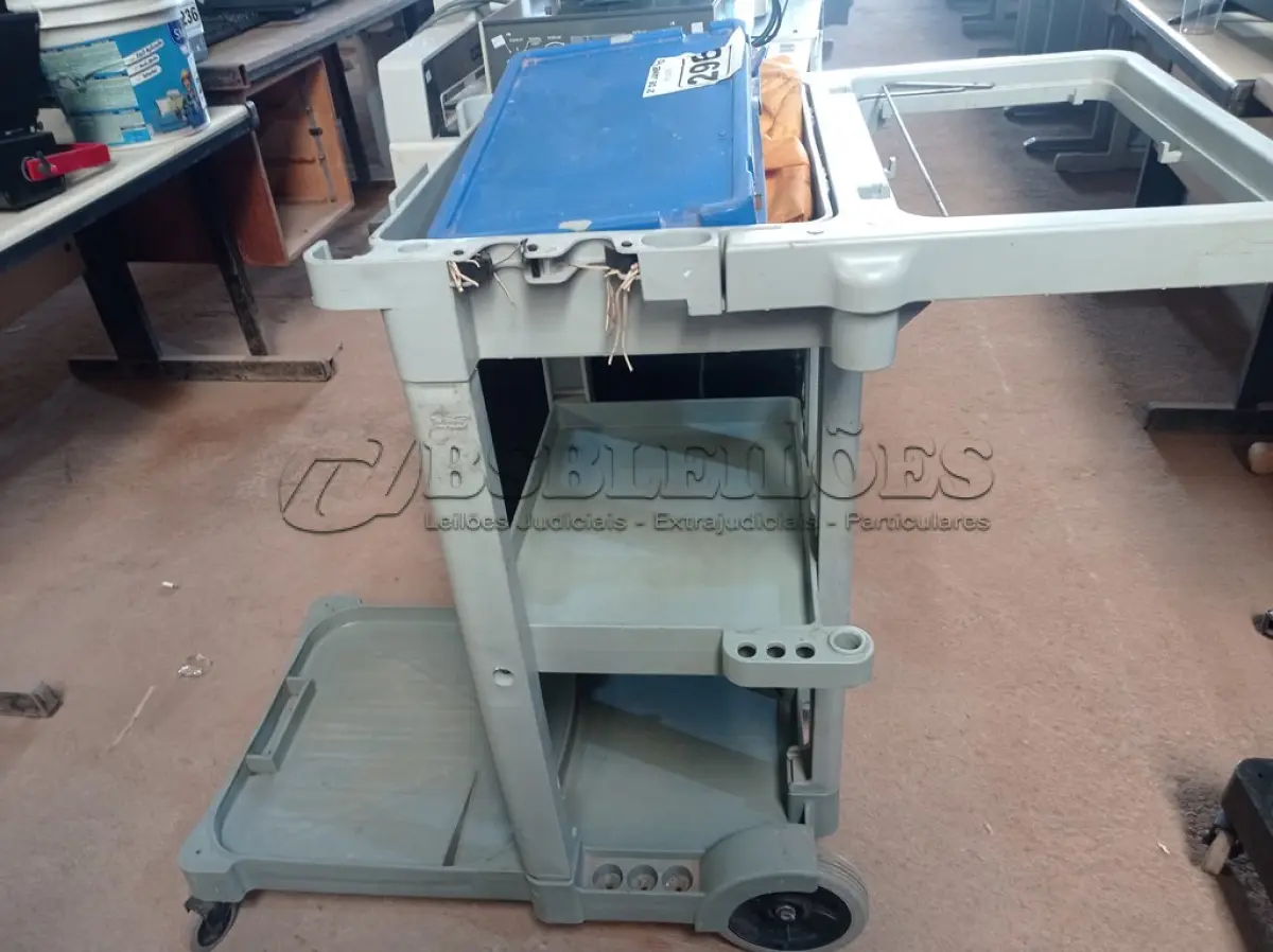LOTE 296