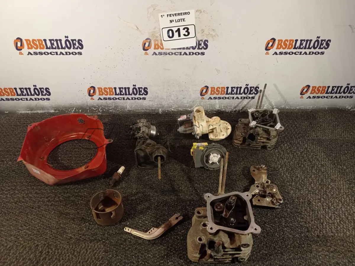 LOTE 013 - 01 LOTE COM VÁRIAS PEÇAS PARA MOTORES E 02 BOMBAS D’AGUA PARA MÁQUINA DE LAVAR MARCAS E MODELOS DIVERSOS.  (NO ESTADO) ATENÇÃO! FAZER A VISITAÇÃO ANTES DE ARREMATAR, NÃO SABEMOS SE FUNCIONA. LEILÃO NÃO TEM GARANTIA E NEM DEVOLUÇÃO, SUJEITO A POSSÍVEIS AVARIAS VISÍVEIS/OCULTAS E/OU AUSÊNCIA DE COMPONENTES.
