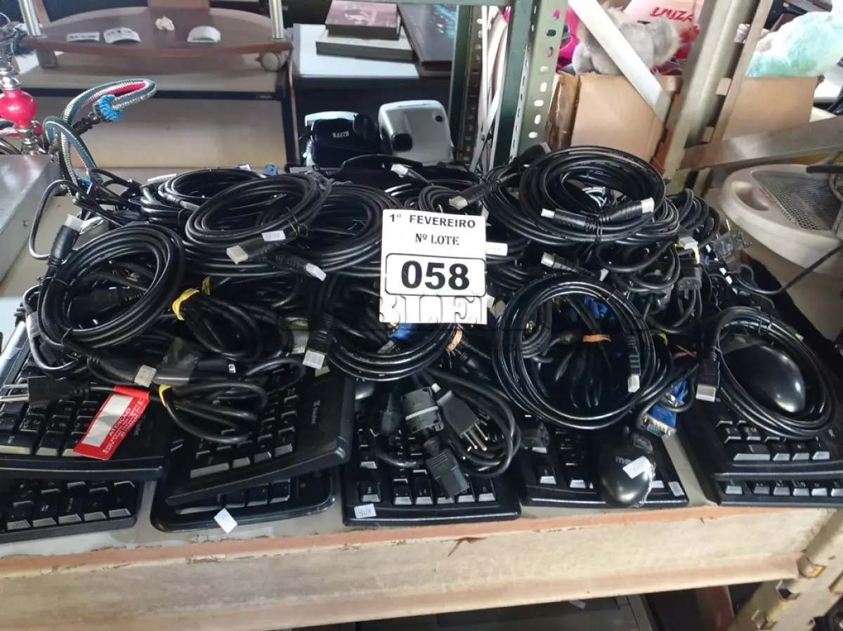 LOTE 058 - 01 LOTE COM VÁRIOS TECLADOS, CABOS DE FORÇA, MOUSES E CABOS DE VÍDEO MARCAS E MODELOS DIVERSOS. (NO ESTADO) ATENÇÃO! FAZER A VISITAÇÃO ANTES DE ARREMATAR, NÃO SABEMOS SE FUNCIONA. LEILÃO NÃO TEM GARANTIA E NEM DEVOLUÇÃO, SUJEITO A POSSÍVEIS AVARIAS VISÍVEIS/OCULTAS E/OU AUSÊNCIA DE COMPONENTES.