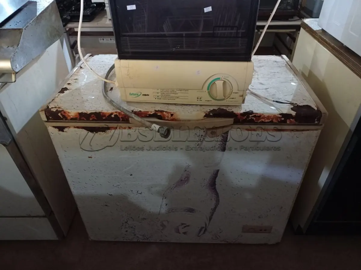 LOTE 343 - 01 LAVA-LOUÇAS E 01 SUCATA DE FREEZER HORIZONTAL. (NO ESTADO) ATENÇÃO! FAZER A VISITAÇÃO ANTES DE ARREMATAR, NÃO SABEMOS SE FUNCIONA. LEILÃO NÃO TEM GARANTIA E NEM DEVOLUÇÃO, SUJEITO A POSSÍVEIS AVARIAS VISÍVEIS/OCULTAS E/OU AUSÊNCIA DE COMPONENTES.