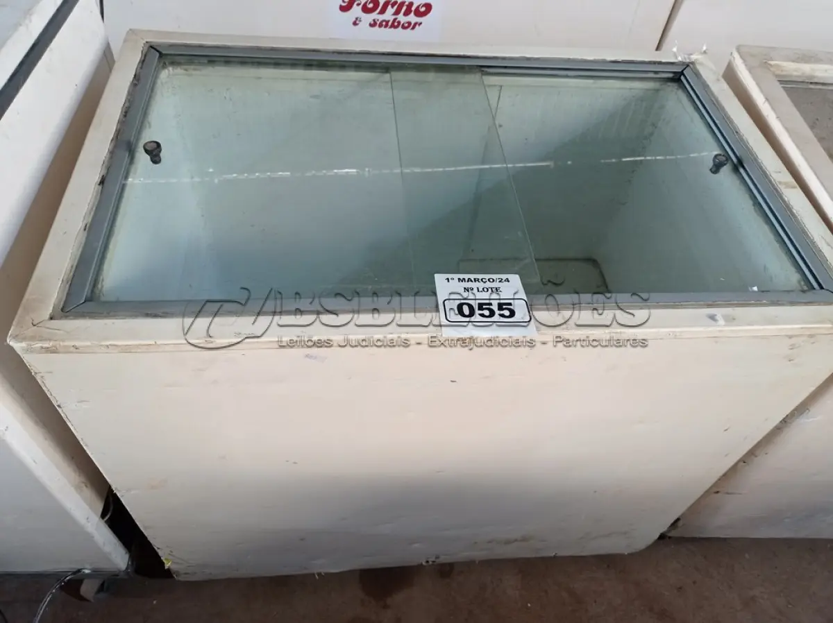 LOTE 055 - 01 FREEZER HORIZONTAL COM 02 TAMPAS DE CORRER 220V. (NO ESTADO) ATENÇÃO! FAZER A VISITAÇÃO ANTES DE ARREMATAR, NÃO SABEMOS SE FUNCIONA. LEILÃO NÃO TEM GARANTIA E NEM DEVOLUÇÃO, SUJEITO A POSSÍVEIS AVARIAS VISÍVEIS/OCULTAS E/OU AUSÊNCIA DE COMPONENTES.