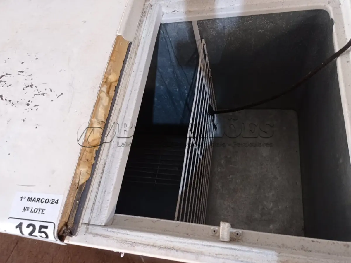 LOTE 125 - 01 FREEZER HORIZONTAL 02 TAMPAS 220V. (NO ESTADO) ATENÇÃO! FAZER A VISITAÇÃO ANTES DE ARREMATAR, NÃO SABEMOS SE FUNCIONA. LEILÃO NÃO TEM GARANTIA E NEM DEVOLUÇÃO, SUJEITO A POSSÍVEIS AVARIAS VISÍVEIS/OCULTAS E/OU AUSÊNCIA DE COMPONENTES.