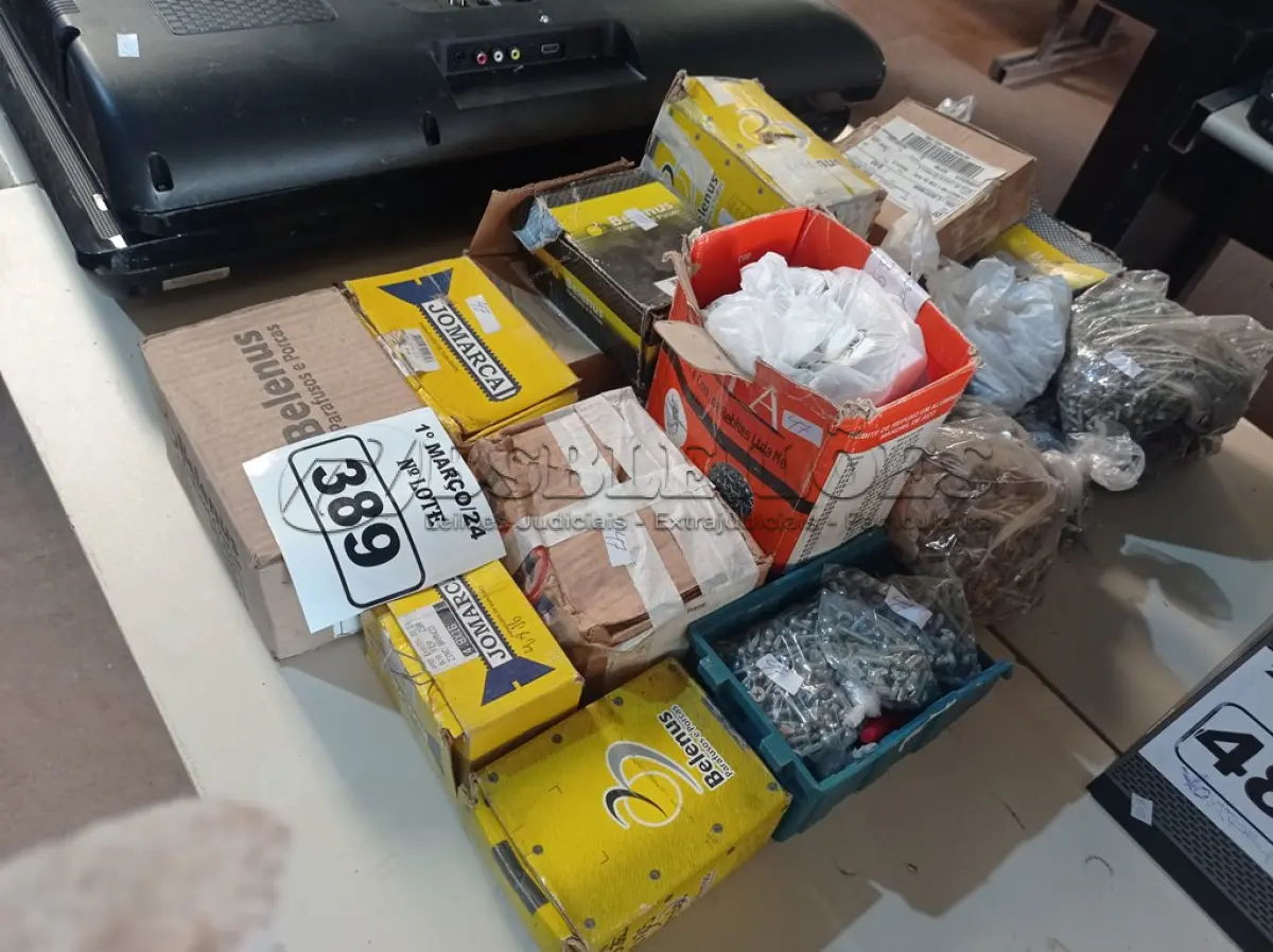 LOTE 389 - 01 LOTE COM GRANDE QUANTIDADE DE PARAFUSOS DIVERSOS. (NO ESTADO) ATENÇÃO! FAZER A VISITAÇÃO ANTES DE ARREMATAR, NÃO SABEMOS SE FUNCIONA. LEILÃO NÃO TEM GARANTIA E NEM DEVOLUÇÃO, SUJEITO A POSSÍVEIS AVARIAS VISÍVEIS/OCULTAS E/OU AUSÊNCIA DE COMPONENTES.