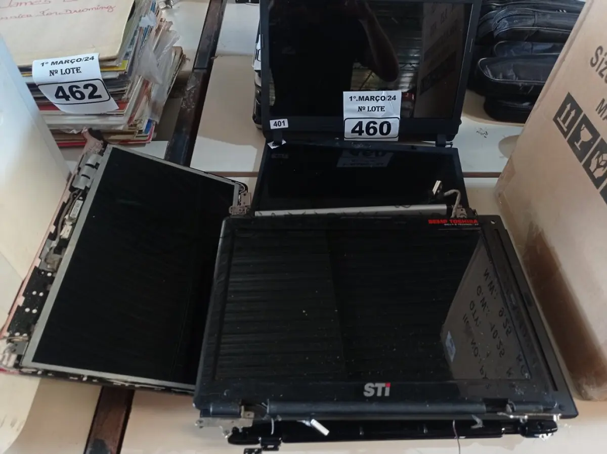 LOTE 460