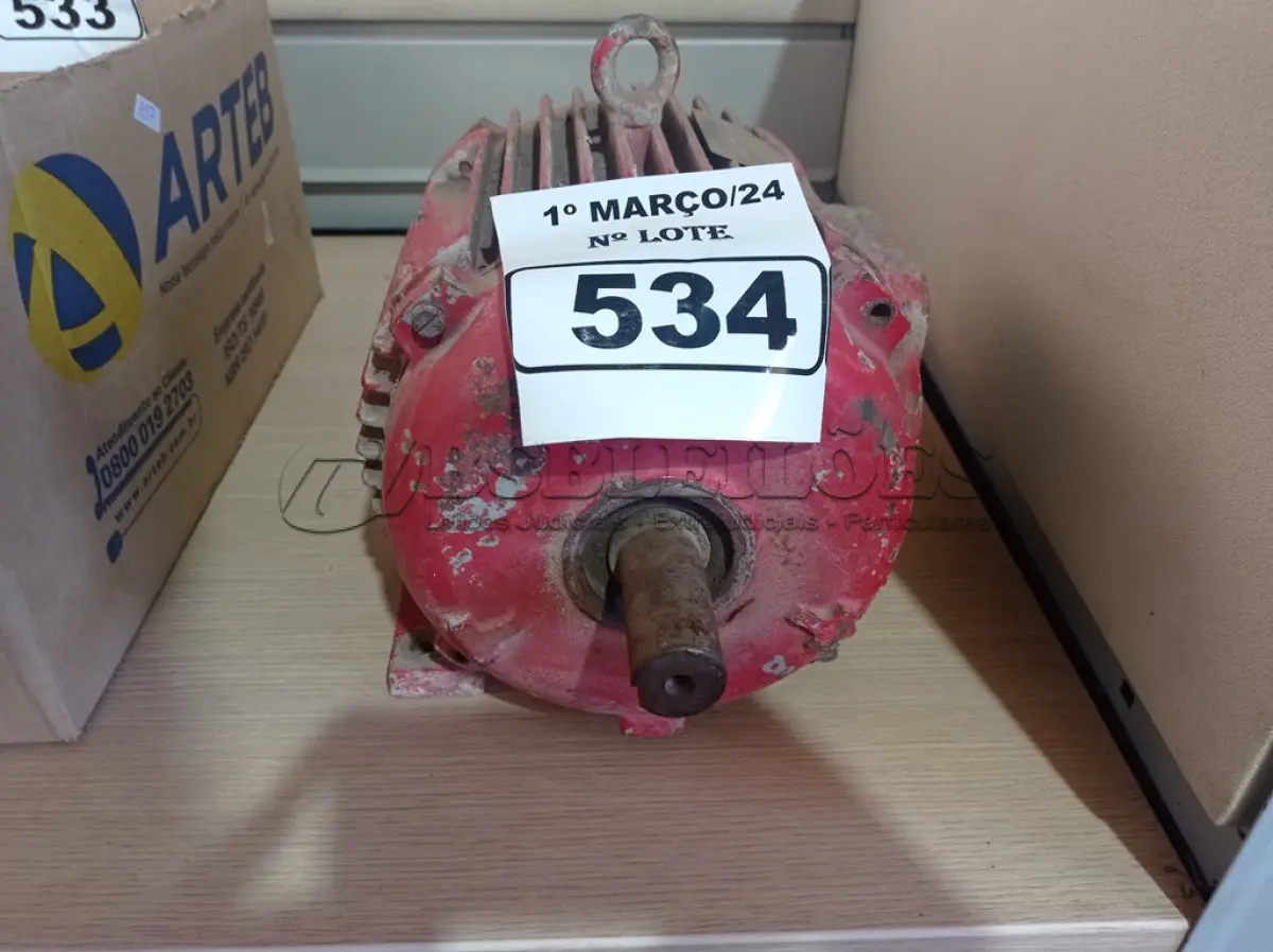LOTE 534 - 01 MOTOR ELÉTRICO. (NO ESTADO) ATENÇÃO! FAZER A VISITAÇÃO ANTES DE ARREMATAR, NÃO SABEMOS SE FUNCIONA. LEILÃO NÃO TEM GARANTIA E NEM DEVOLUÇÃO, SUJEITO A POSSÍVEIS AVARIAS VISÍVEIS/OCULTAS E/OU AUSÊNCIA DE COMPONENTES.
