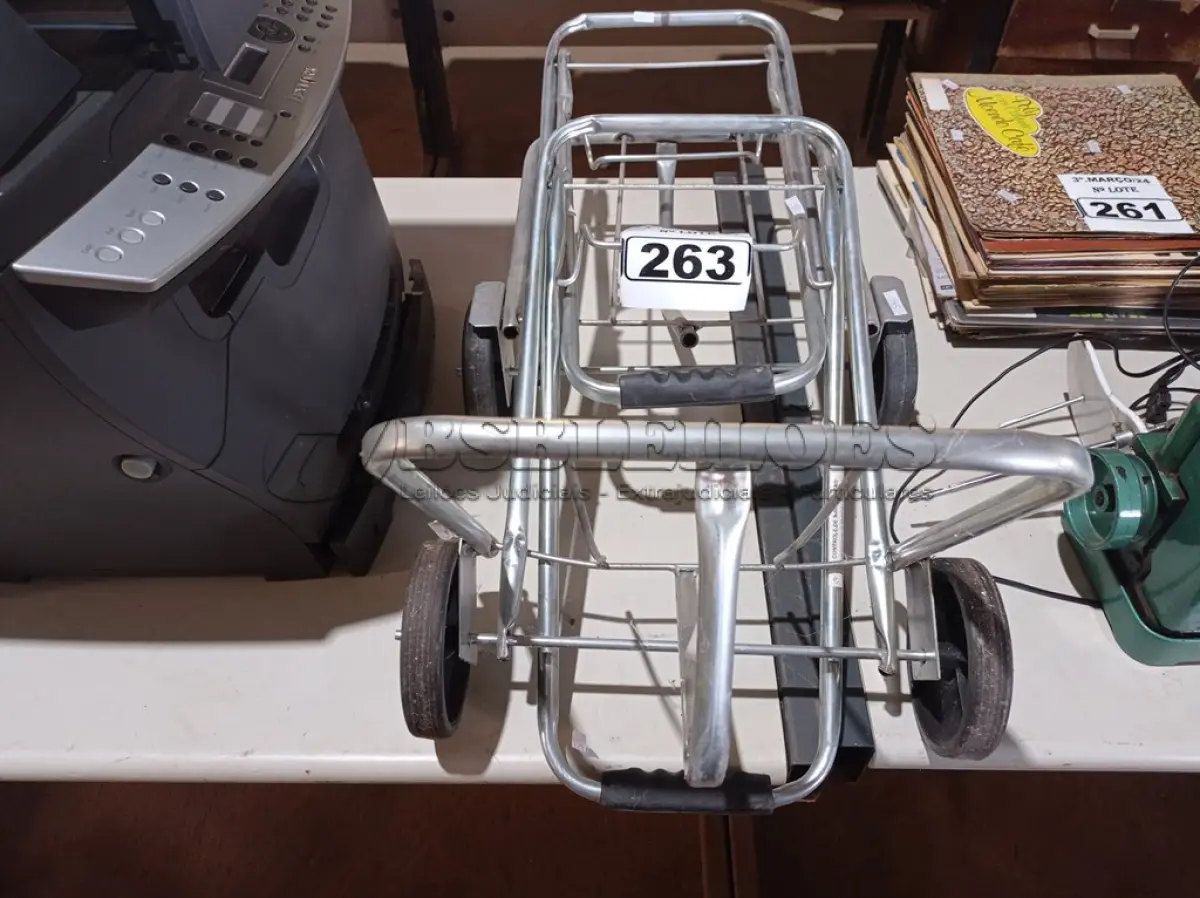 LOTE 263 - 02 CARRINHOS PARA TRANSPORTE DE CARGAS. (NO ESTADO) ATENÇÃO! FAZER A VISITAÇÃO ANTES DE ARREMATAR, NÃO SABEMOS SE FUNCIONA. LEILÃO NÃO TEM GARANTIA E NEM DEVOLUÇÃO, SUJEITO A POSSÍVEIS AVARIAS VISÍVEIS/OCULTAS E/OU AUSÊNCIA DE COMPONENTES.
