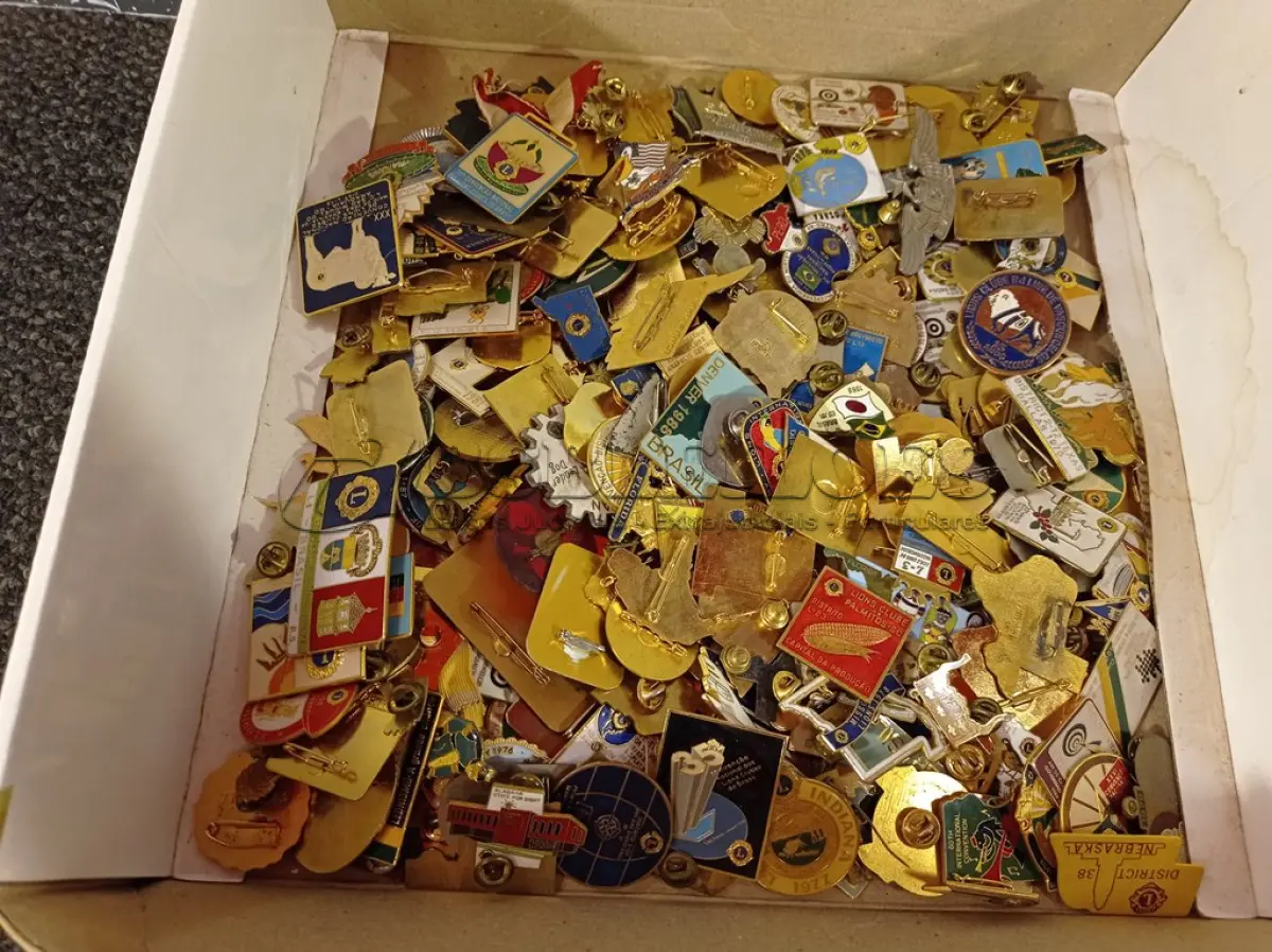 LOTE 071 - 01 LOTE COM VÁRIOS BROCHES EM METAL DIVERSOS. (NO ESTADO) ATENÇÃO! FAZER A VISITAÇÃO ANTES DE ARREMATAR, NÃO SABEMOS SE FUNCIONA. LEILÃO NÃO TEM GARANTIA E NEM DEVOLUÇÃO, SUJEITO A POSSÍVEIS AVARIAS VISÍVEIS/OCULTAS E/OU AUSÊNCIA DE COMPONENTES.