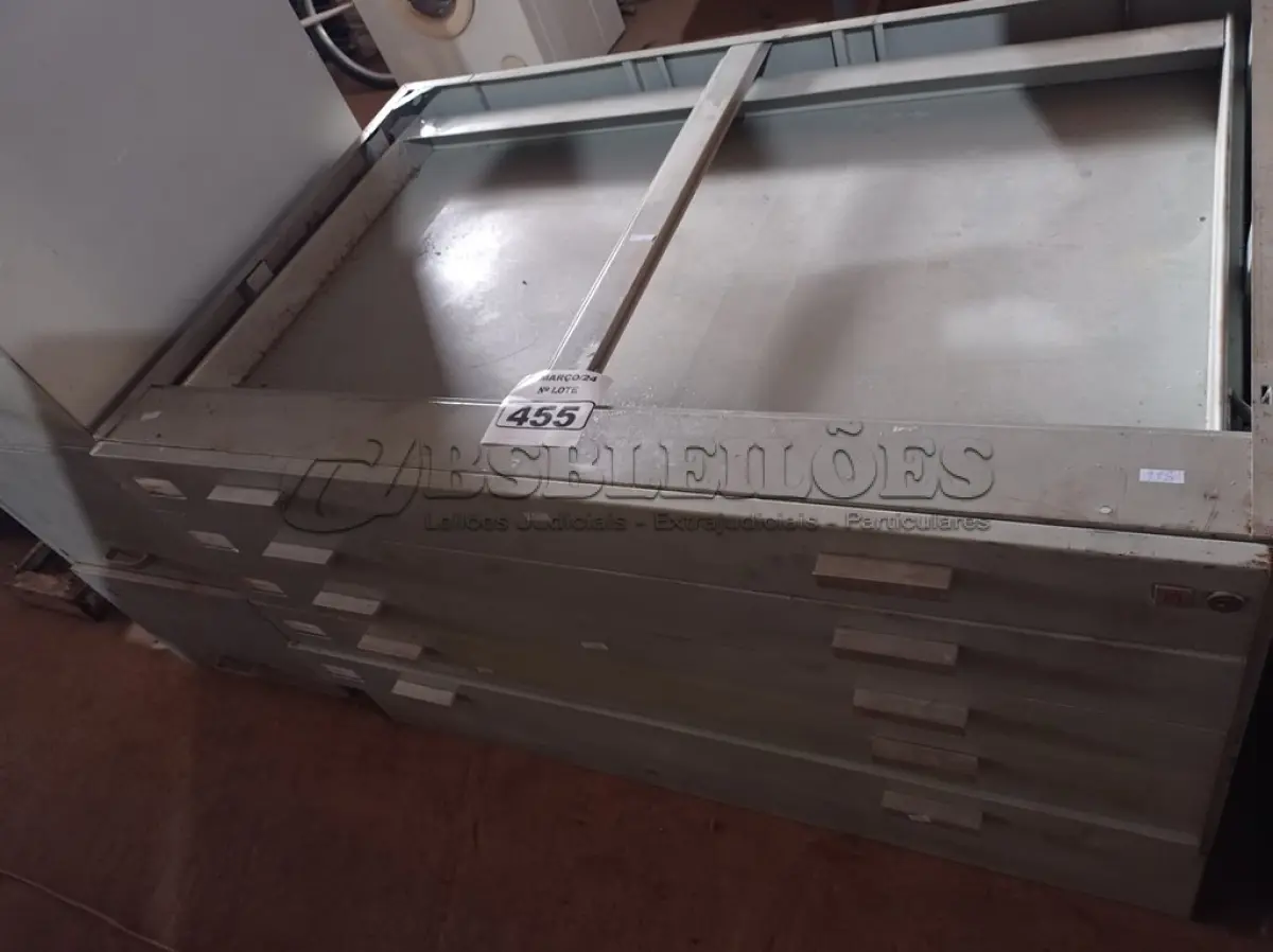 LOTE 455