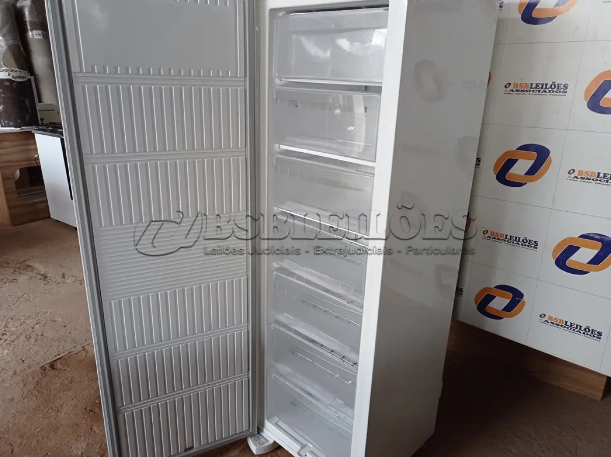 LOTE 038 - 01 FREEZER ELECTROLUX 220V MODELO: FE26. (NO ESTADO) BF8677V