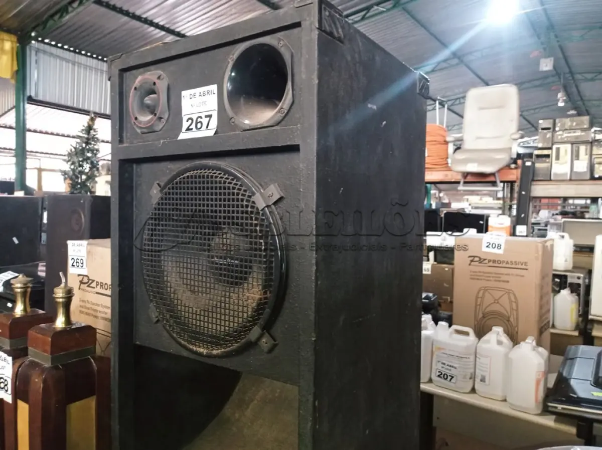 LOTE 267 - 01 CAIXA DE SOM PROFISSIONAL. (NO ESTADO) ATENÇÃO! FAZER A VISITAÇÃO ANTES DE ARREMATAR, NÃO SABEMOS SE FUNCIONA. LEILÃO NÃO TEM GARANTIA E NEM DEVOLUÇÃO, SUJEITO A POSSÍVEIS AVARIAS VISÍVEIS/OCULTAS E/OU AUSÊNCIA DE COMPONENTES.