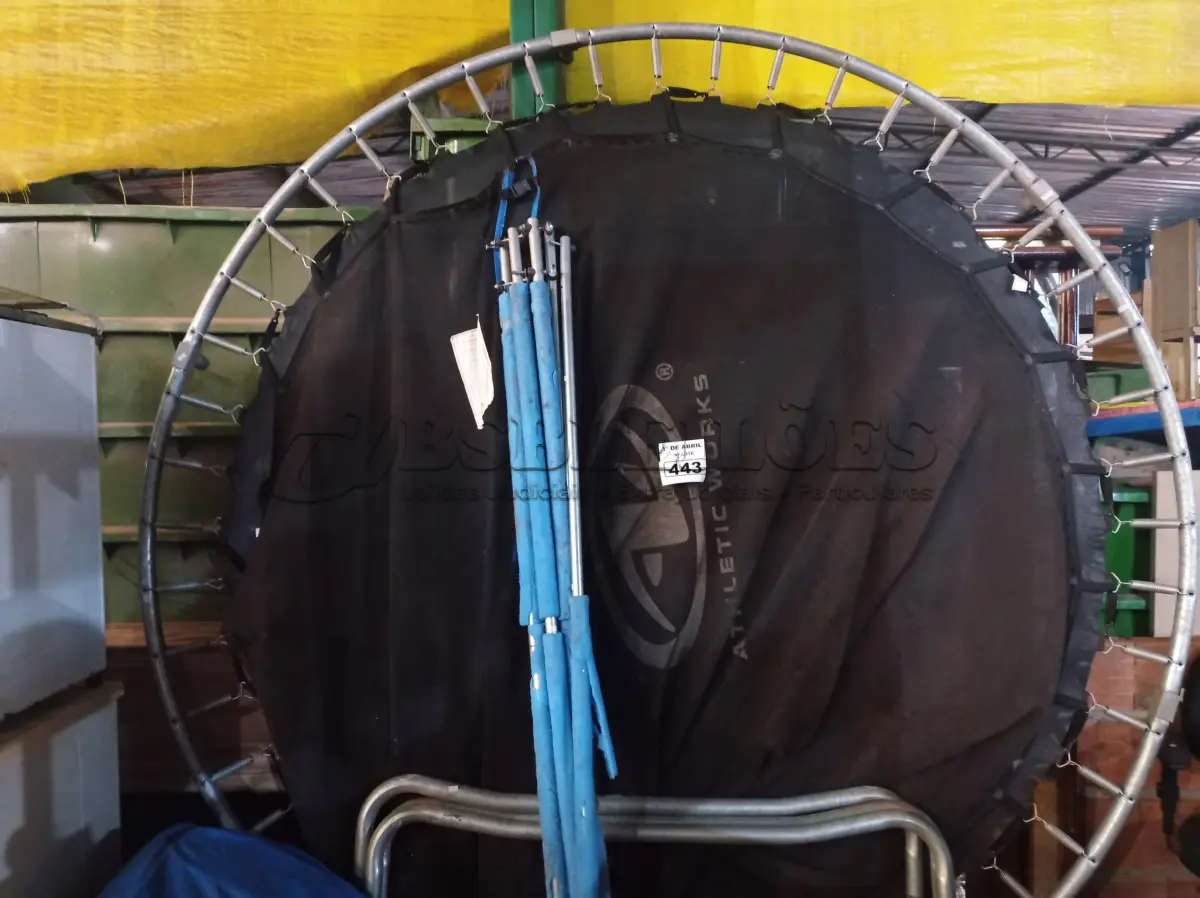LOTE 443