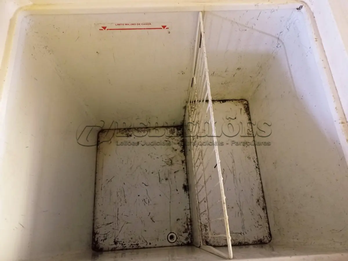 LOTE 492 - 01 FREEZER HORIZONTAL COM 01 TAMPA 220V. (NO ESTADO) ATENÇÃO! FAZER A VISITAÇÃO ANTES DE ARREMATAR, NÃO SABEMOS SE FUNCIONA. LEILÃO NÃO TEM GARANTIA E NEM DEVOLUÇÃO, SUJEITO A POSSÍVEIS AVARIAS VISÍVEIS/OCULTAS E/OU AUSÊNCIA DE COMPONENTES.