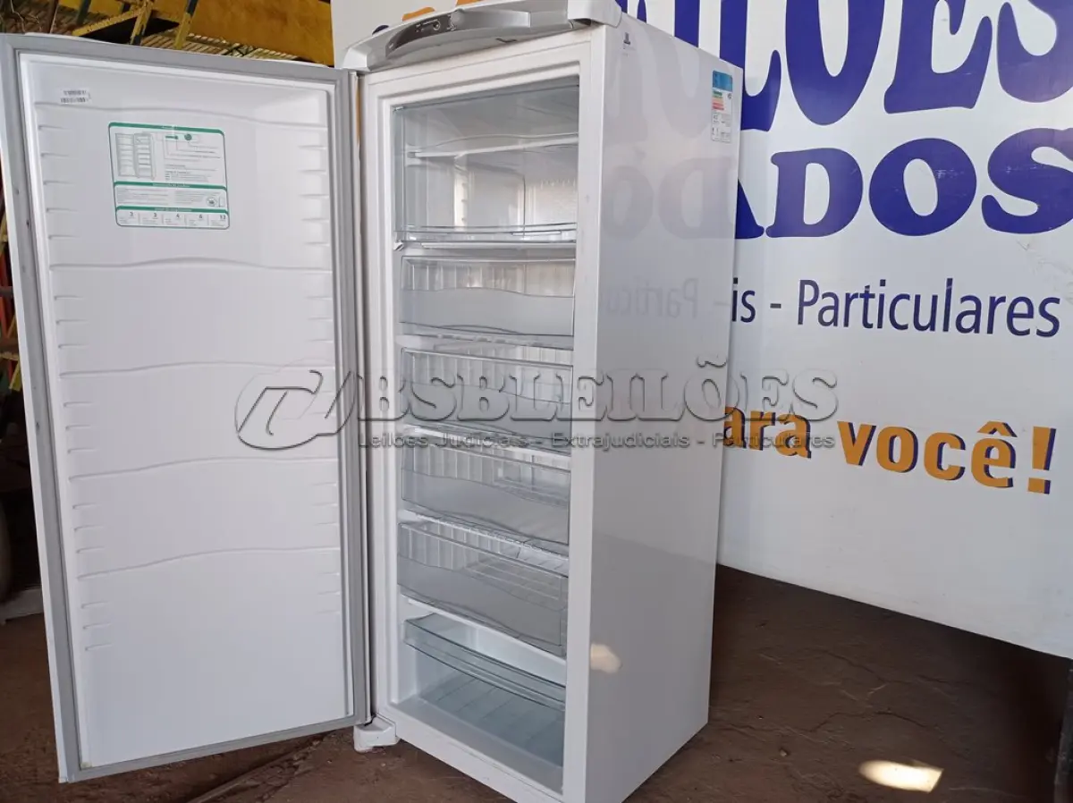 LOTE 249 - 01 FREEZER VERTICAL 231 LITROS MARCA CONSUL 22V. (NO ESTADO) BH1501S