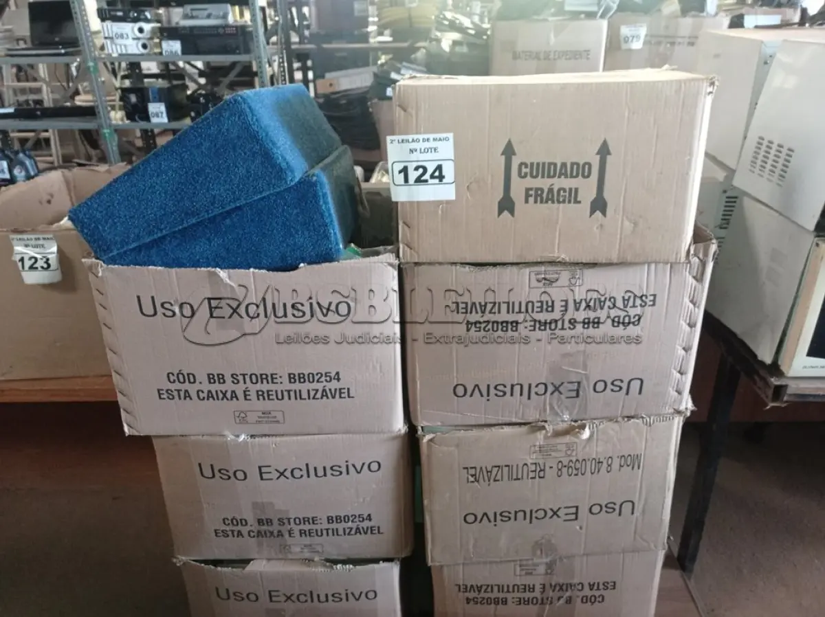 LOTE 124 - 01 LOTE COM GRANDE QUANTIDADE DE PASTAS SUSPENSAS DIVERSAS. (NO ESTADO) ATENÇÃO! FAZER A VISITAÇÃO ANTES DE ARREMATAR, NÃO SABEMOS SE FUNCIONA. LEILÃO NÃO TEM GARANTIA E NEM DEVOLUÇÃO, SUJEITO A POSSÍVEIS AVARIAS VISÍVEIS/OCULTAS E/OU AUSÊNCIA DE COMPONENTES.