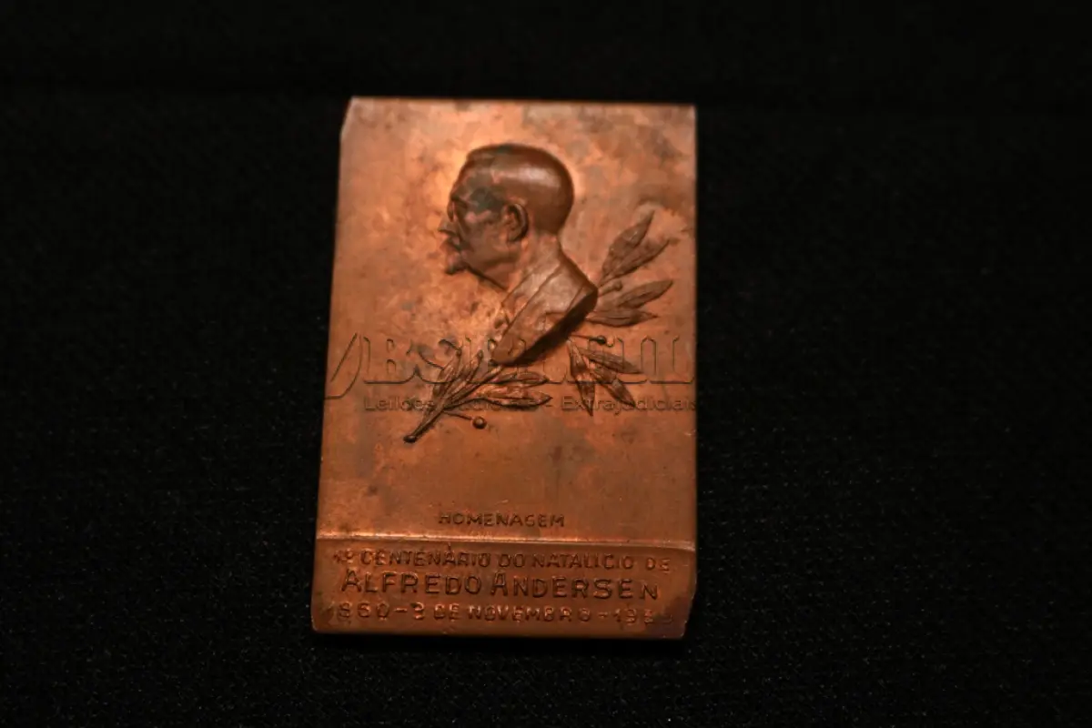 LOTE 018 - LOTE 18 – MEDALHAS – ALFREDO ANDERSEN 	MEDALHA	OBSERVAÇÕES 1.		1ª Exposição de Artistas Paranaenses no Rio de Janeiro. Sociedade de Amigos de Alfredo Andersen.1943. Gravador: José Peon	Bronze 2.		1ª Exposição de Artistas Paranaenses no Rio de Janeiro. Sociedade de Amigos de Alfredo Andersen.1943. Gravador: José Peon	Bronze 3.		1ª Exposição de Artistas Paranaenses no Rio de Janeiro. Sociedade de Amigos de Alfredo Andersen.1943. Gravador: José Peon	Cobre 4.		1ª Exposição de Artistas Paranaenses no Rio de Janeiro. Sociedade de Amigos de Alfredo Andersen.1943. Gravador: José Peon	Prateada 5.		IV Salão Paranaense de Belas Artes. 1947. Homenagem a Alfredo Andersen (1860-1935). Gravador: José Peon	Cobre 6.		1° Salão Internacional de Arte Fotografica. Foto Clube Colméia. 1960. Gravadores: José Peon e José Tortatto.	Retangular