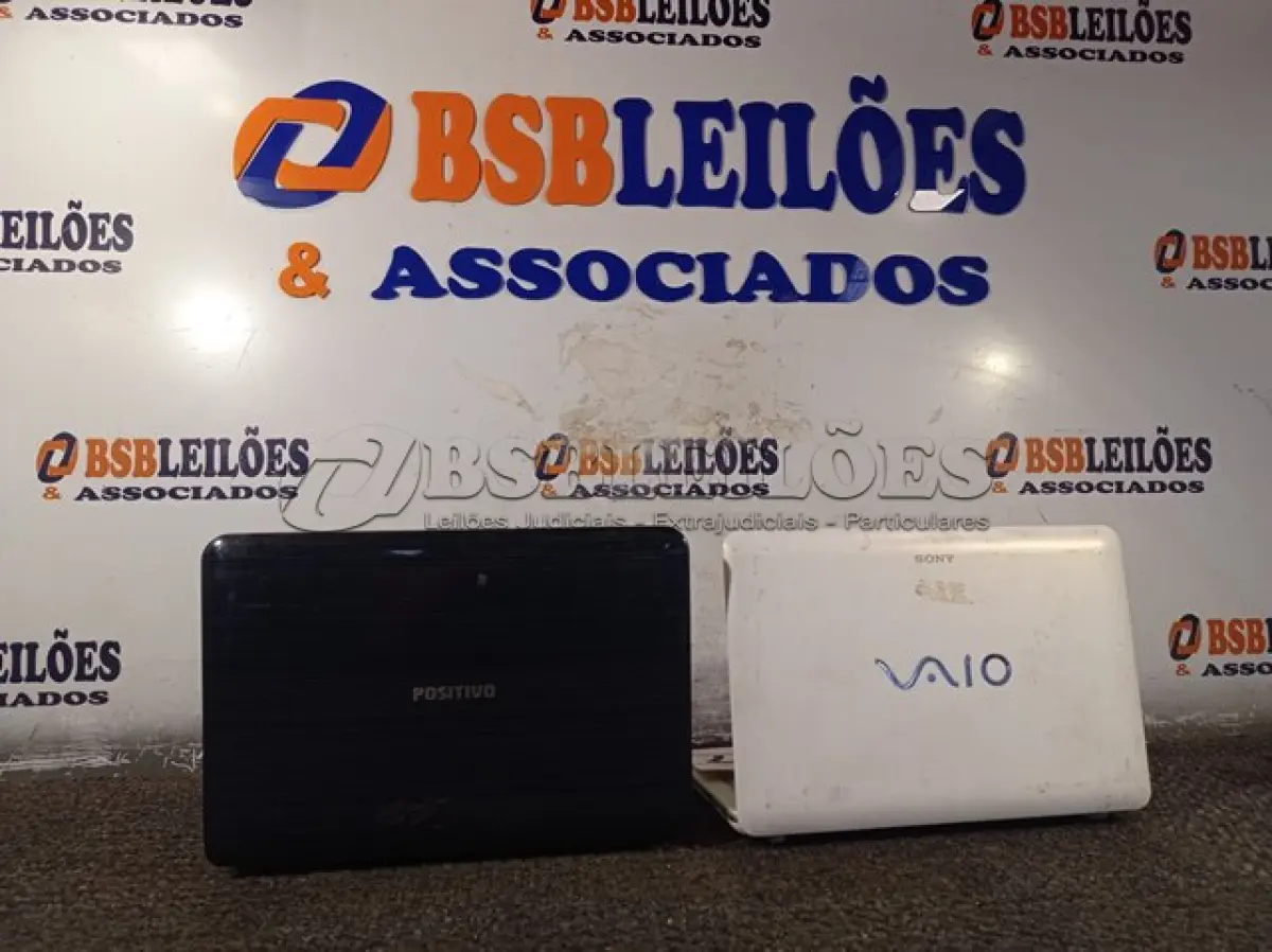 LOTE 317