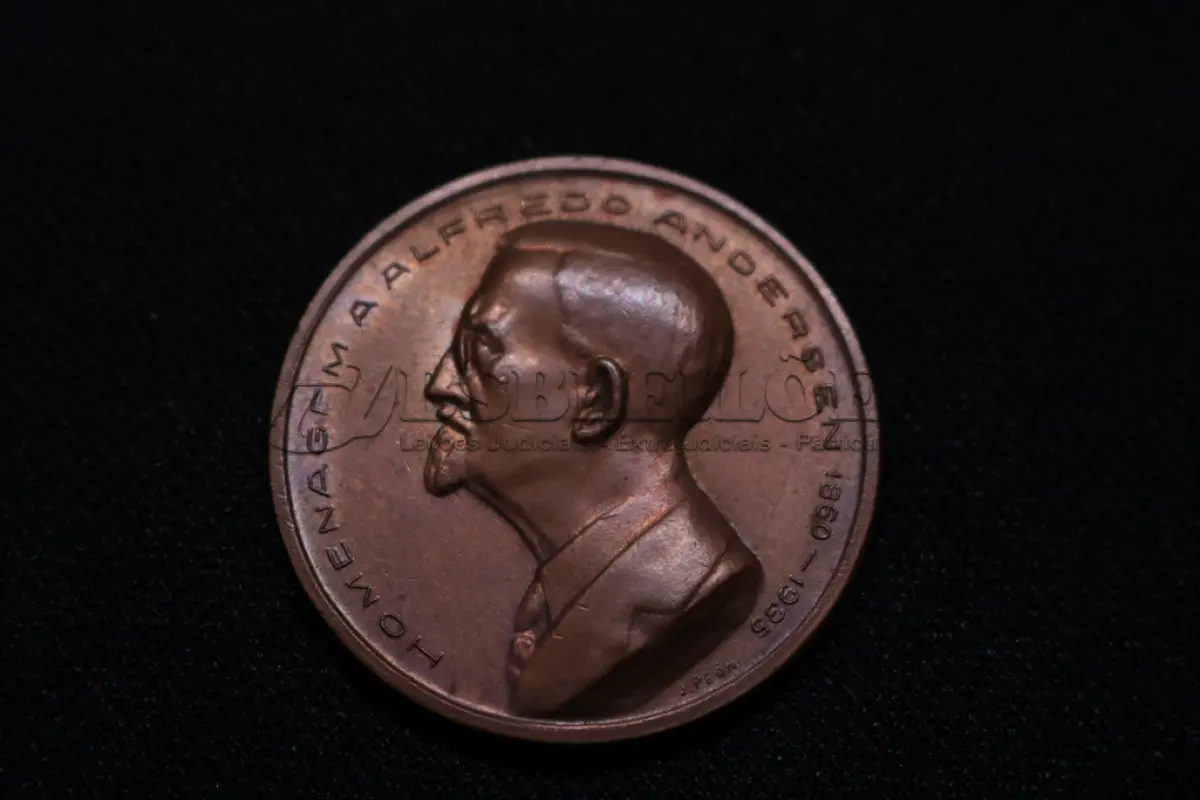 LOTE 014 - LOTE 14 – MEDALHAS – ALFREDO ANDERSEN 	MEDALHA	OBSERVAÇÕES 1.		1ª Exposição de Artistas Paranaenses no Rio de Janeiro. Sociedade de Amigos de Alfredo Andersen.1943. Gravador: José Peon	Bronze 2.		1ª Exposição de Artistas Paranaenses no Rio de Janeiro. Sociedade de Amigos de Alfredo Andersen.1943. Gravador: José Peon	Cobre 3.		1ª Exposição de Artistas Paranaenses no Rio de Janeiro. Sociedade de Amigos de Alfredo Andersen.1943. Gravador: José Peon	Prateada 4.		IV Salão Paranaense de Belas Artes. 1947. Homenagem a Alfredo Andersen (1860-1935). Gravador: José Peon	Cobre 5.		1° Salão Internacional de Arte Fotografica. Foto Clube Colméia. 1960. Gravadores: José Peon e José Tortatto.