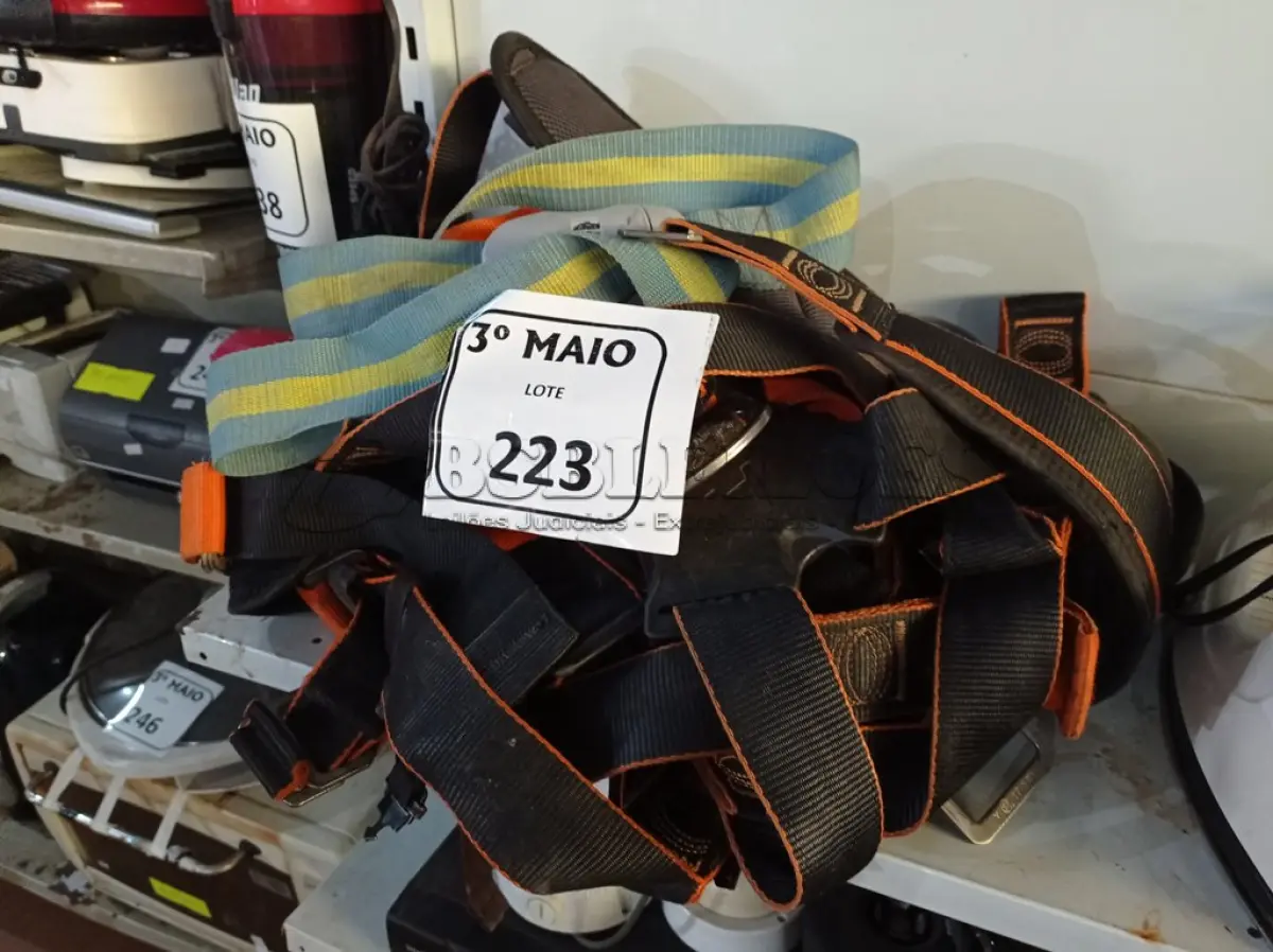 LOTE 223 - 02 CINTOS DE SEGURANÇA. (NO ESTADO) ATENÇÃO! FAZER A VISITAÇÃO ANTES DE ARREMATAR, NÃO SABEMOS SE FUNCIONA. LEILÃO NÃO TEM GARANTIA E NEM DEVOLUÇÃO, SUJEITO A POSSÍVEIS AVARIAS VISÍVEIS/OCULTAS E/OU AUSÊNCIA DE COMPONENTES.