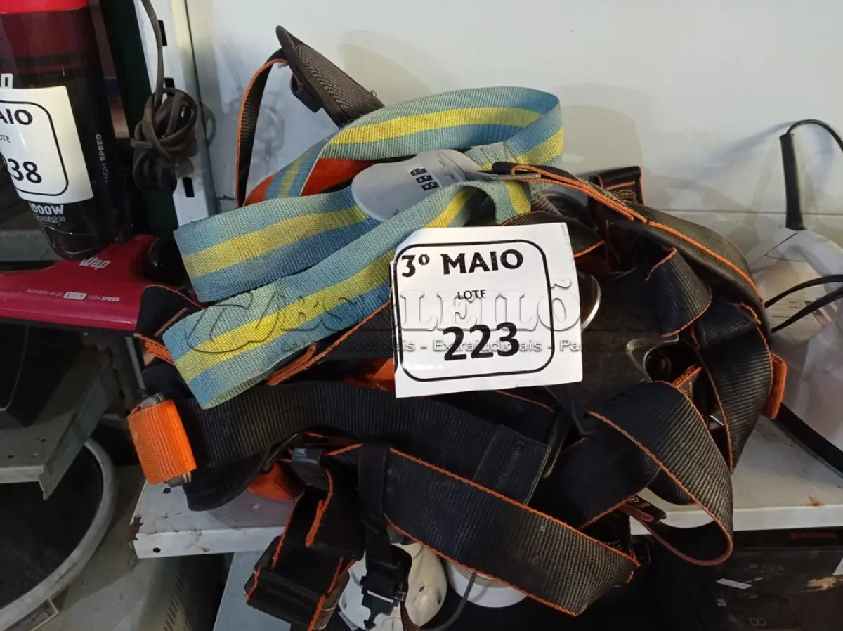 LOTE 223 - 02 CINTOS DE SEGURANÇA. (NO ESTADO) ATENÇÃO! FAZER A VISITAÇÃO ANTES DE ARREMATAR, NÃO SABEMOS SE FUNCIONA. LEILÃO NÃO TEM GARANTIA E NEM DEVOLUÇÃO, SUJEITO A POSSÍVEIS AVARIAS VISÍVEIS/OCULTAS E/OU AUSÊNCIA DE COMPONENTES.