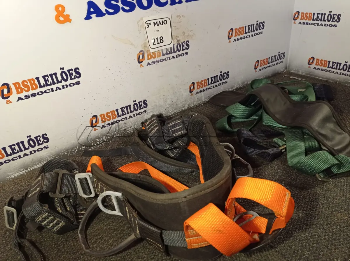 LOTE 218 - 02 CINTOS DE SEGURANÇA. (NO ESTADO) ATENÇÃO! FAZER A VISITAÇÃO ANTES DE ARREMATAR, NÃO SABEMOS SE FUNCIONA. LEILÃO NÃO TEM GARANTIA E NEM DEVOLUÇÃO, SUJEITO A POSSÍVEIS AVARIAS VISÍVEIS/OCULTAS E/OU AUSÊNCIA DE COMPONENTES.