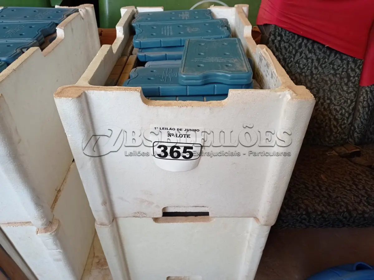 LOTE 365 - 01 LOTE COM GRANDE QUANTIDADE DE PLACAS PARA FAZER GELO RÍGIDO REUTILIZÁVEL. (NO ESTADO) ATENÇÃO! FAZER A VISITAÇÃO ANTES DE ARREMATAR, NÃO SABEMOS SE FUNCIONA. LEILÃO NÃO TEM GARANTIA E NEM DEVOLUÇÃO, SUJEITO A POSSÍVEIS AVARIAS VISÍVEIS/OCULTAS E/OU AUSÊNCIA DE COMPONENTES.