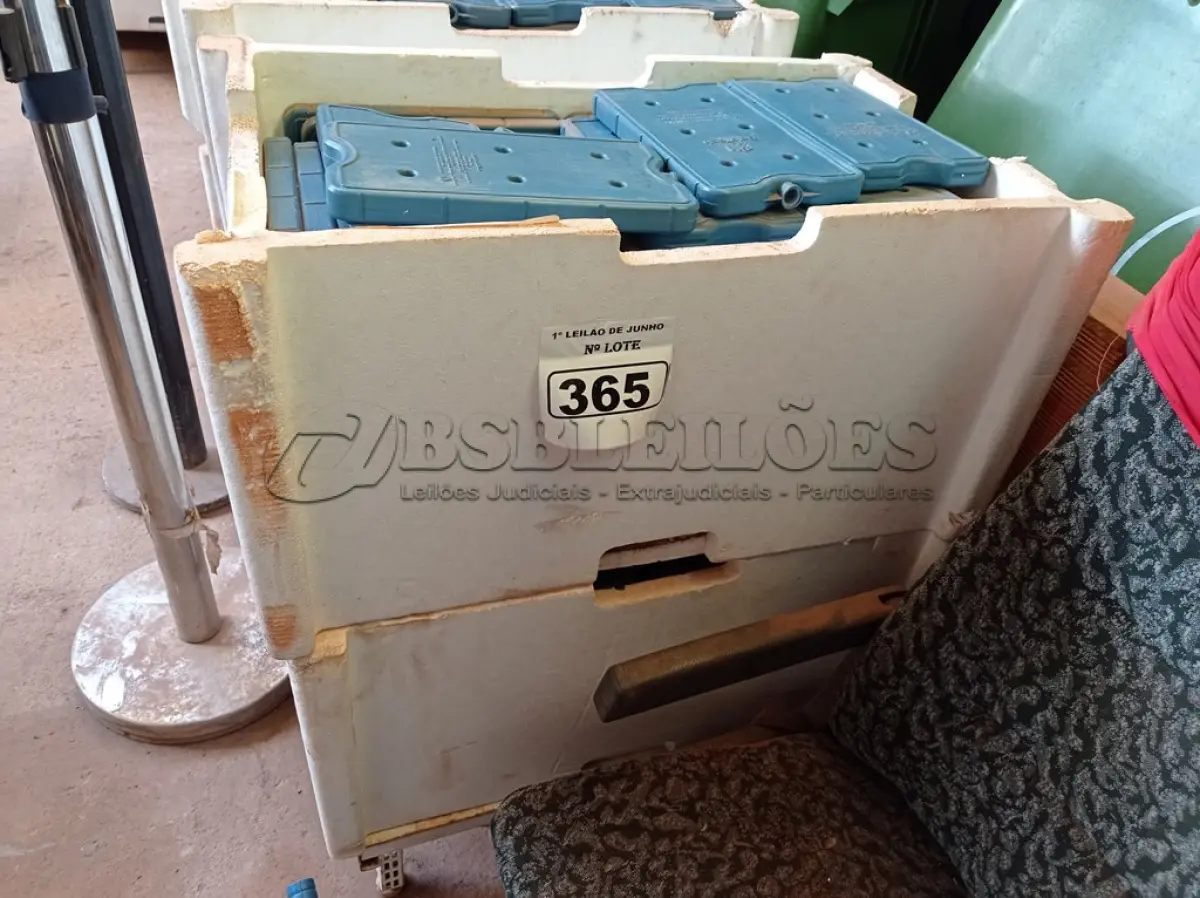 LOTE 365 - 01 LOTE COM GRANDE QUANTIDADE DE PLACAS PARA FAZER GELO RÍGIDO REUTILIZÁVEL. (NO ESTADO) ATENÇÃO! FAZER A VISITAÇÃO ANTES DE ARREMATAR, NÃO SABEMOS SE FUNCIONA. LEILÃO NÃO TEM GARANTIA E NEM DEVOLUÇÃO, SUJEITO A POSSÍVEIS AVARIAS VISÍVEIS/OCULTAS E/OU AUSÊNCIA DE COMPONENTES.