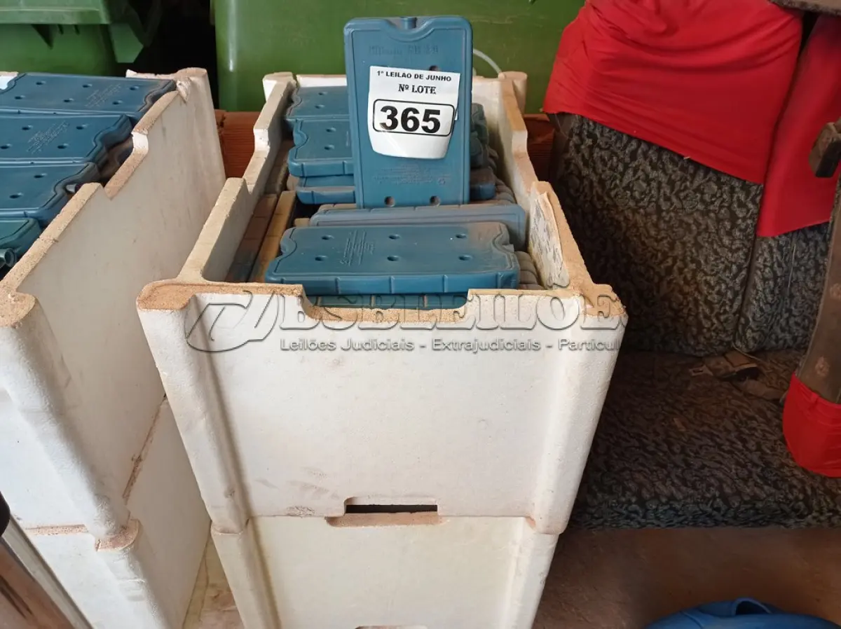 LOTE 365 - 01 LOTE COM GRANDE QUANTIDADE DE PLACAS PARA FAZER GELO RÍGIDO REUTILIZÁVEL. (NO ESTADO) ATENÇÃO! FAZER A VISITAÇÃO ANTES DE ARREMATAR, NÃO SABEMOS SE FUNCIONA. LEILÃO NÃO TEM GARANTIA E NEM DEVOLUÇÃO, SUJEITO A POSSÍVEIS AVARIAS VISÍVEIS/OCULTAS E/OU AUSÊNCIA DE COMPONENTES.