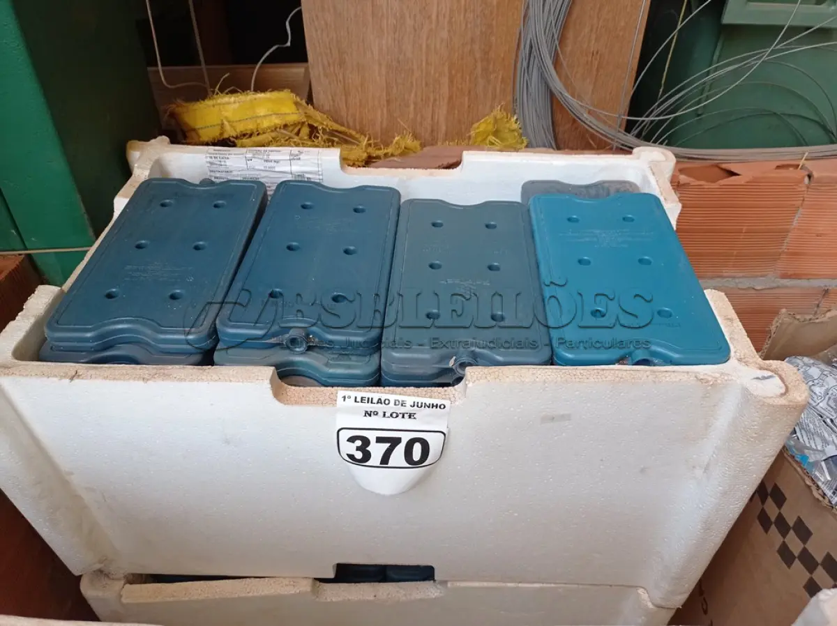 LOTE 370 - 01 LOTE COM GRANDE QUANTIDADE DE PLACAS PARA FAZER GELO RÍGIDO REUTILIZÁVEL. (NO ESTADO) ATENÇÃO! FAZER A VISITAÇÃO ANTES DE ARREMATAR, NÃO SABEMOS SE FUNCIONA. LEILÃO NÃO TEM GARANTIA E NEM DEVOLUÇÃO, SUJEITO A POSSÍVEIS AVARIAS VISÍVEIS/OCULTAS E/OU AUSÊNCIA DE COMPONENTES.