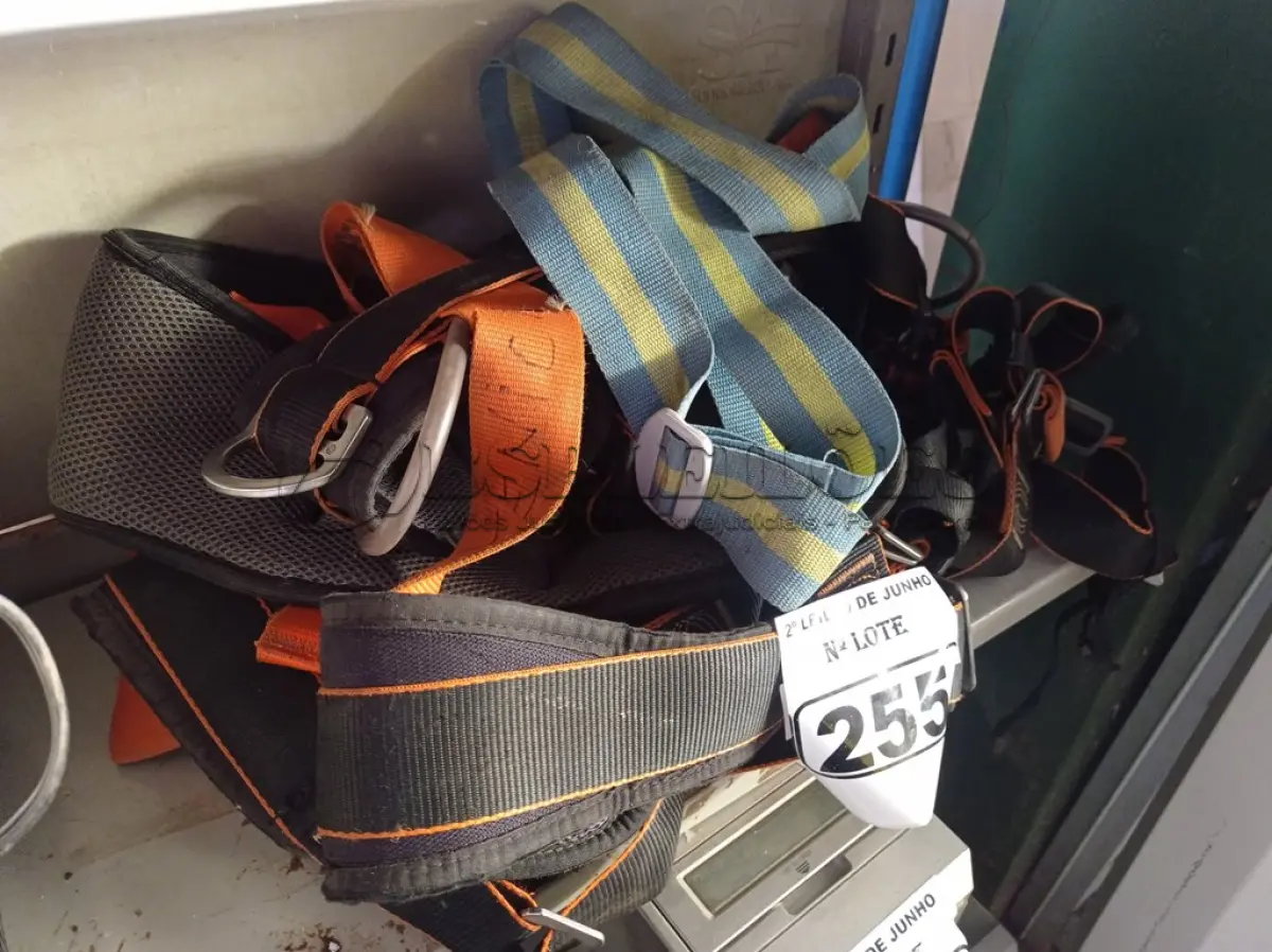 LOTE 255 - 02 CINTOS DE SEGURANÇA. (NO ESTADO) ATENÇÃO! FAZER A VISITAÇÃO ANTES DE ARREMATAR, NÃO SABEMOS SE FUNCIONA. LEILÃO NÃO TEM GARANTIA E NEM DEVOLUÇÃO, SUJEITO A POSSÍVEIS AVARIAS VISÍVEIS/OCULTAS E/OU AUSÊNCIA DE COMPONENTES.