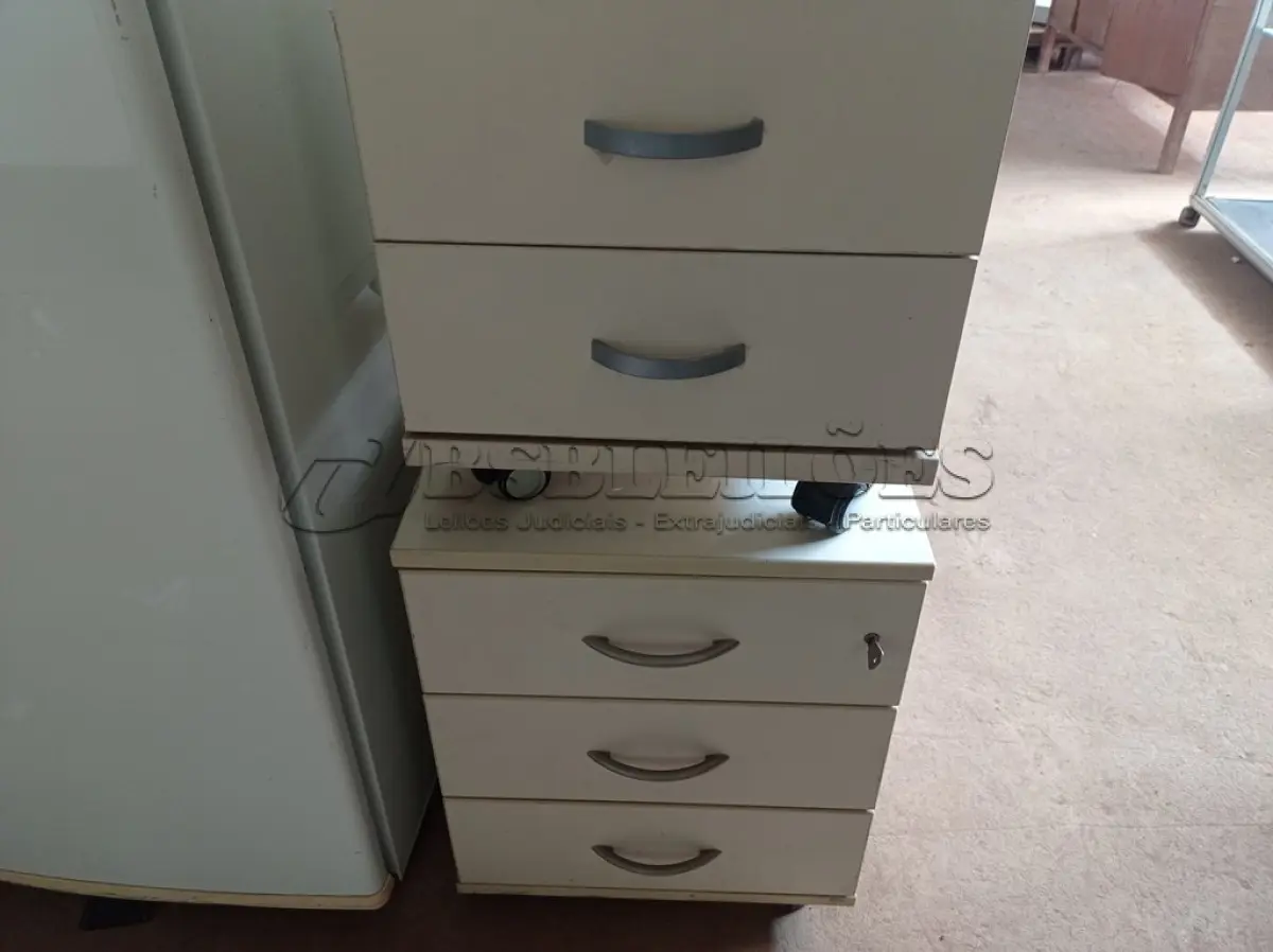 LOTE 242 - 02 GAVETEIROS DE ESCRITÓRIO COM 03 GAVETAS CADA. (NO ESTADO) ATENÇÃO! FAZER A VISITAÇÃO ANTES DE ARREMATAR, NÃO SABEMOS SE FUNCIONA. LEILÃO NÃO TEM GARANTIA E NEM DEVOLUÇÃO, SUJEITO A POSSÍVEIS AVARIAS VISÍVEIS/OCULTAS E/OU AUSÊNCIA DE COMPONENTES.