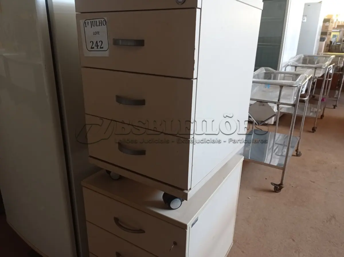 LOTE 242 - 02 GAVETEIROS DE ESCRITÓRIO COM 03 GAVETAS CADA. (NO ESTADO) ATENÇÃO! FAZER A VISITAÇÃO ANTES DE ARREMATAR, NÃO SABEMOS SE FUNCIONA. LEILÃO NÃO TEM GARANTIA E NEM DEVOLUÇÃO, SUJEITO A POSSÍVEIS AVARIAS VISÍVEIS/OCULTAS E/OU AUSÊNCIA DE COMPONENTES.