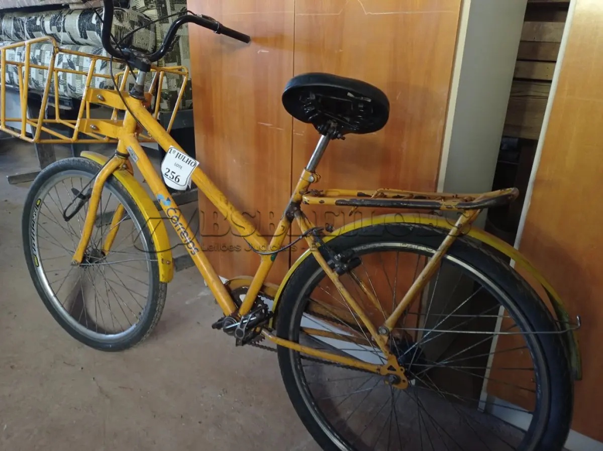 LOTE 256 - 01 BICICLETA CARGUEIRA NA COR AMARELA. (NO ESTADO) ATENÇÃO! FAZER A VISITAÇÃO ANTES DE ARREMATAR, NÃO SABEMOS SE FUNCIONA. LEILÃO NÃO TEM GARANTIA E NEM DEVOLUÇÃO, SUJEITO A POSSÍVEIS AVARIAS VISÍVEIS/OCULTAS E/OU AUSÊNCIA DE COMPONENTES.