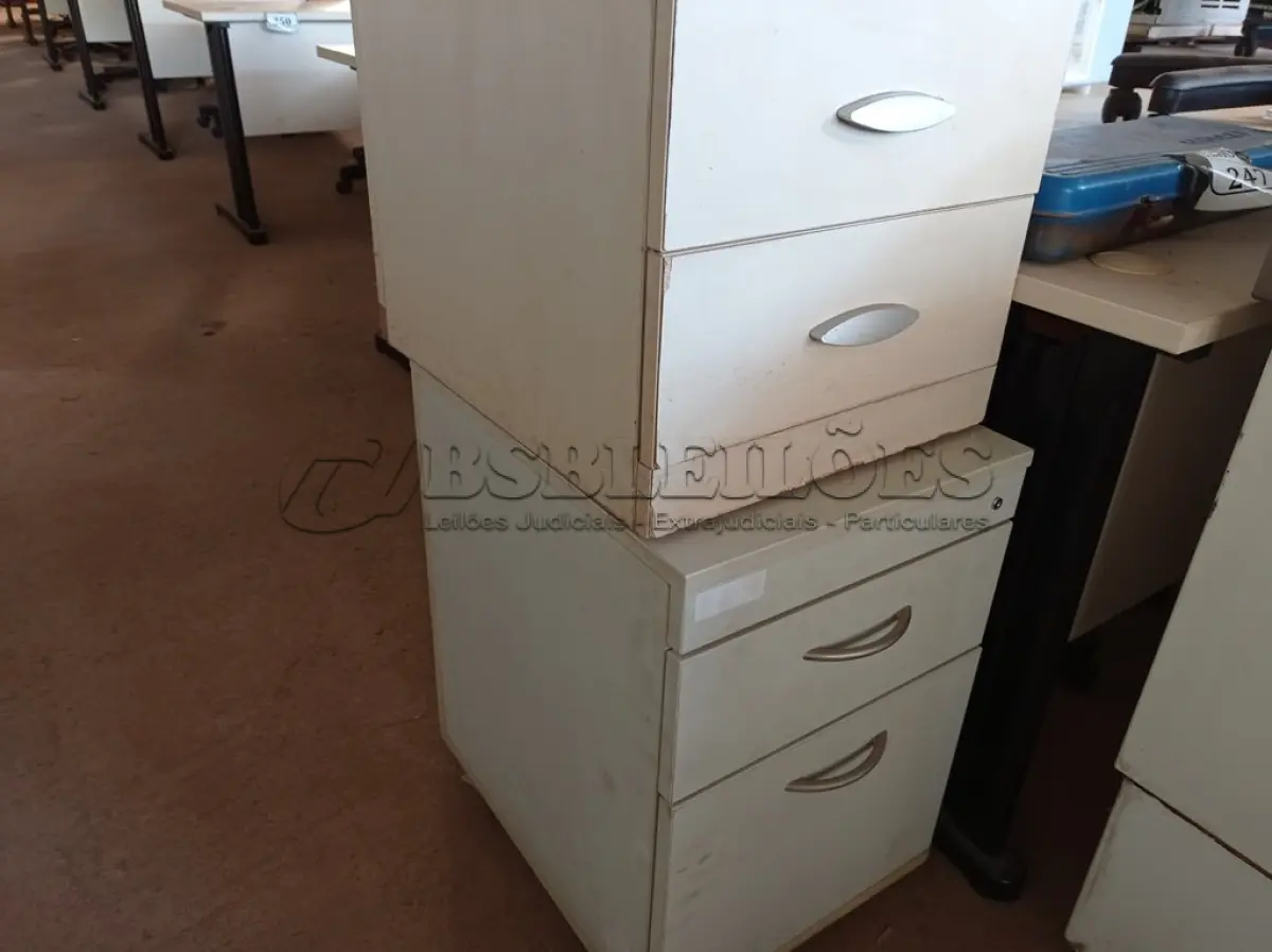 LOTE 245 - 02 GAVETEIROS DE ESCRITÓRIO COM 03 GAVETAS CADA. (NO ESTADO) ATENÇÃO! FAZER A VISITAÇÃO ANTES DE ARREMATAR, NÃO SABEMOS SE FUNCIONA. LEILÃO NÃO TEM GARANTIA E NEM DEVOLUÇÃO, SUJEITO A POSSÍVEIS AVARIAS VISÍVEIS/OCULTAS E/OU AUSÊNCIA DE COMPONENTES.