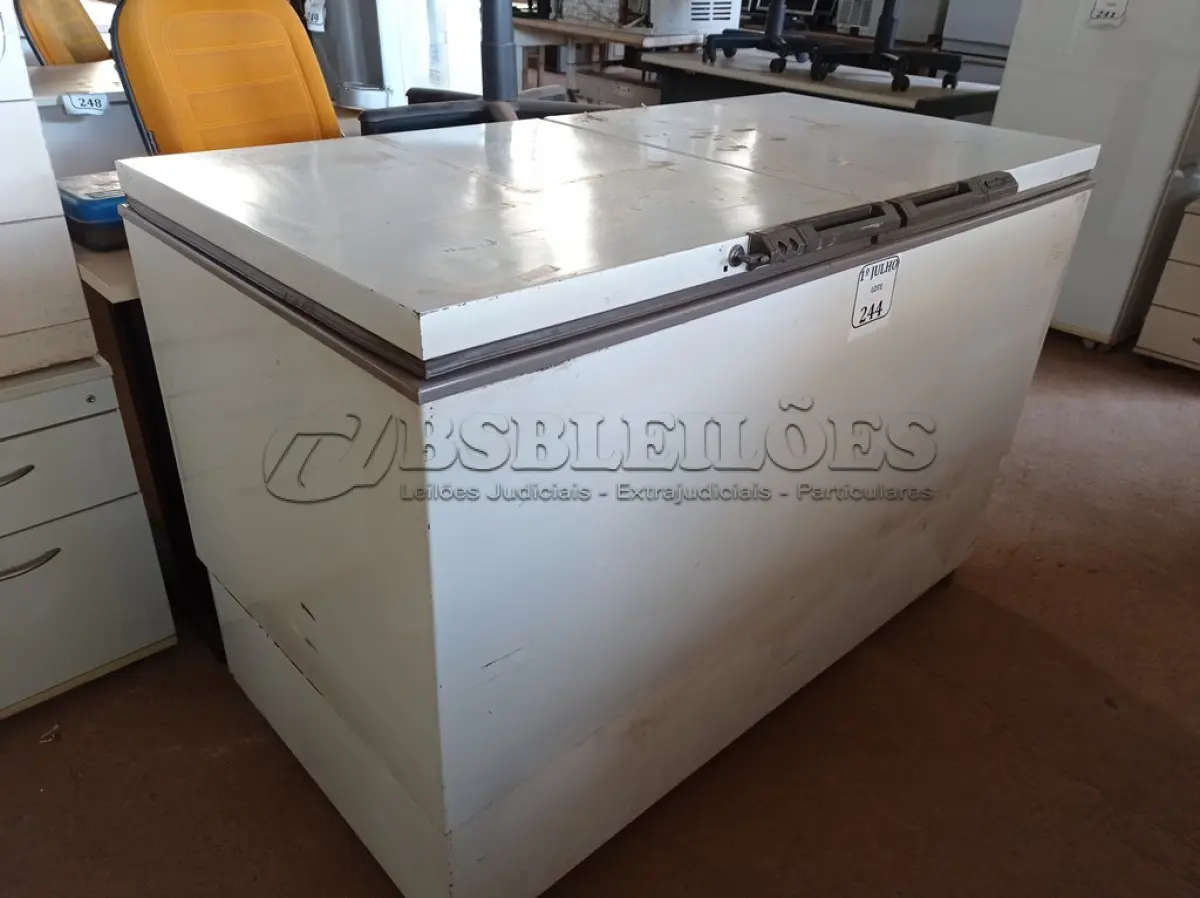 LOTE 244 - 01 FREEZER HORIZONTAL 320 MARCA CONSUL. (NO ESTADO) ATENÇÃO! FAZER A VISITAÇÃO ANTES DE ARREMATAR, NÃO SABEMOS SE FUNCIONA. LEILÃO NÃO TEM GARANTIA E NEM DEVOLUÇÃO, SUJEITO A POSSÍVEIS AVARIAS VISÍVEIS/OCULTAS E/OU AUSÊNCIA DE COMPONENTES.
