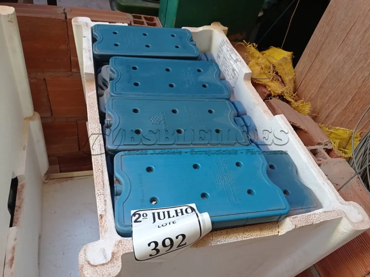 LOTE 323 - 02 CAIXAS COM GELO REUTILIZÁVEL (NO ESTADO) ATENÇÃO! FAZER A VISITAÇÃO ANTES DE ARREMATAR, NÃO SABEMOS SE FUNCIONA. LEILÃO NÃO TEM GARANTIA E NEM DEVOLUÇÃO, SUJEITO A POSSÍVEIS AVARIAS VISÍVEIS/OCULTAS E/OU AUSÊNCIA DE COMPONENTES.