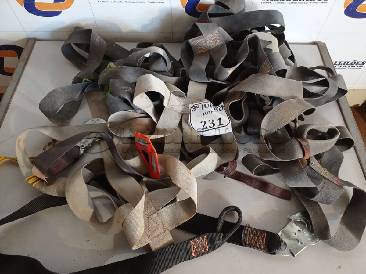 LOTE 231 - 01 LOTE COM 05 CINTOS DE SEGURANÇA.  (NO ESTADO) ATENÇÃO! FAZER A VISITAÇÃO ANTES DE ARREMATAR, NÃO SABEMOS SE FUNCIONA. LEILÃO NÃO TEM GARANTIA E NEM DEVOLUÇÃO, SUJEITO A POSSÍVEIS AVARIAS VISÍVEIS/OCULTAS E/OU AUSÊNCIA DE COMPONENTES.