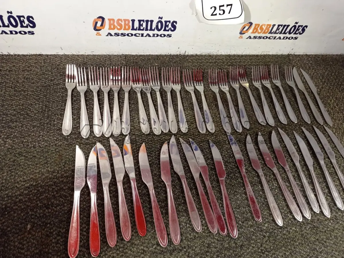 LOTE 257 - 01 LOTE COM 22 FACAS E 22 GARFOS. (NO ESTADO) ATENÇÃO! FAZER A VISITAÇÃO ANTES DE ARREMATAR, NÃO SABEMOS SE FUNCIONA. LEILÃO NÃO TEM GARANTIA E NEM DEVOLUÇÃO, SUJEITO A POSSÍVEIS AVARIAS VISÍVEIS/OCULTAS E/OU AUSÊNCIA DE COMPONENTES.
