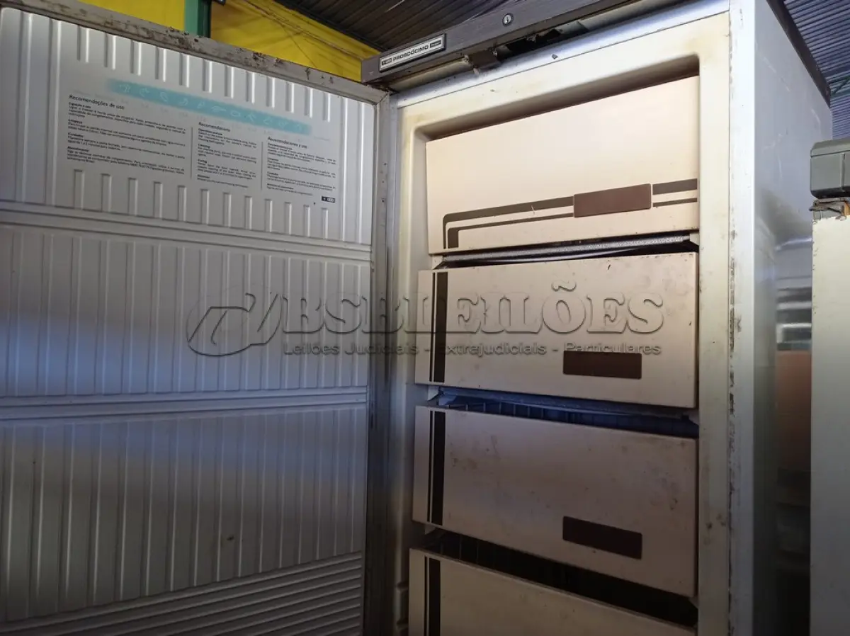 LOTE 459 - 01 FREEZER VERTICAL PROSDÓCIMO.  (NO ESTADO) ATENÇÃO! FAZER A VISITAÇÃO ANTES DE ARREMATAR, NÃO SABEMOS SE FUNCIONA. LEILÃO NÃO TEM GARANTIA E NEM DEVOLUÇÃO, SUJEITO A POSSÍVEIS AVARIAS VISÍVEIS/OCULTAS E/OU AUSÊNCIA DE COMPONENTES.