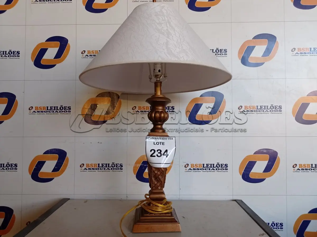 LOTE 234