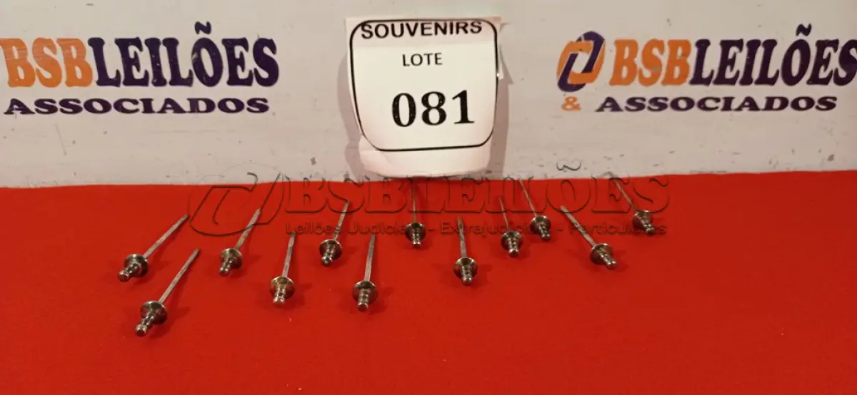LOTE 081 - 12 ESPETOS EM PRATA PARA PETISCOS. (NO ESTADO EM QUE SE ENCONTRA) ATENÇÃO! FAZER A VISITAÇÃO ANTES DE ARREMATAR, NÃO SABEMOS SE FUNCIONA. LEILÃO NÃO TEM GARANTIA E NEM DEVOLUÇÃO, SUJEITO A POSSÍVEIS AVARIAS VISÍVEIS/OCULTAS E/OU AUSÊNCIA DE COMPONENTES.  