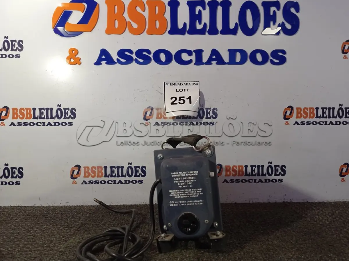 LOTE 251