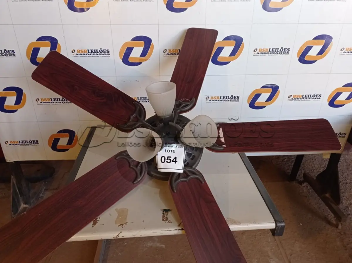 LOTE 054